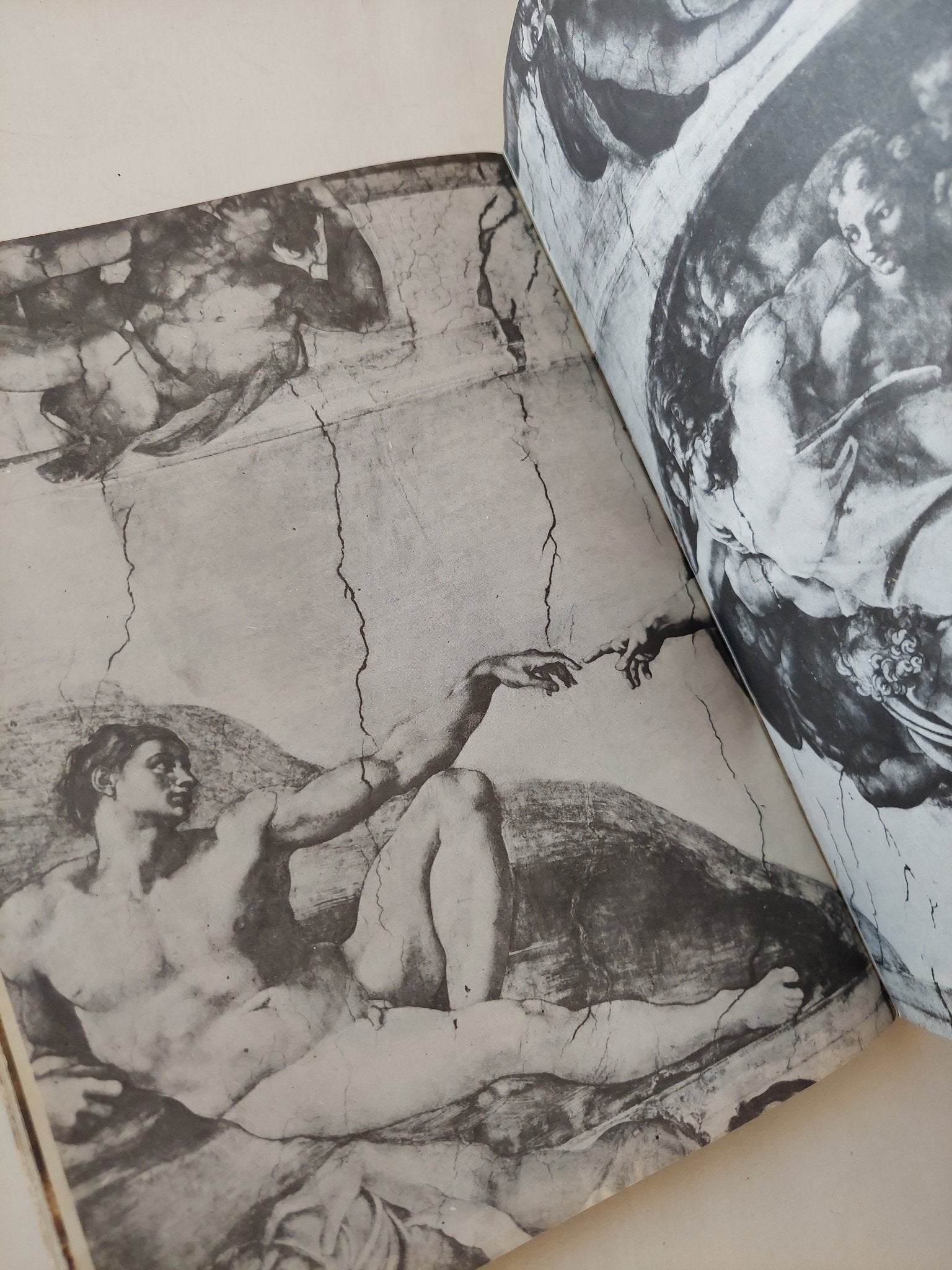 ميكلانجلو / ثروت عكاشة - قطع كبير ملحق بالصور - متجر كتب مصر - متجر كتب مصر