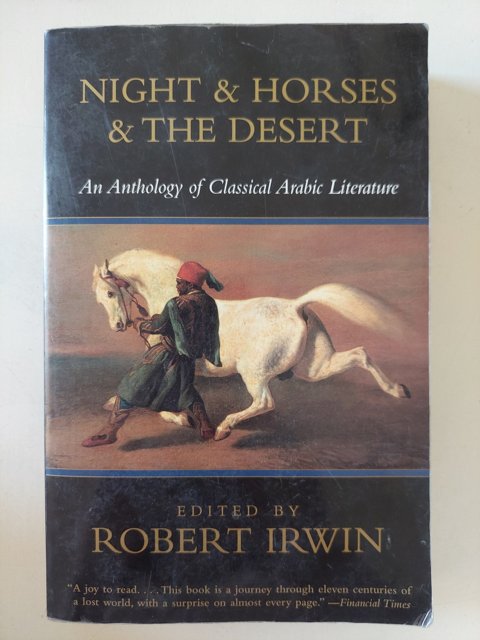Night & horses & the desert / Robert Irwin - متجر كتب مصر - متجر كتب مصر