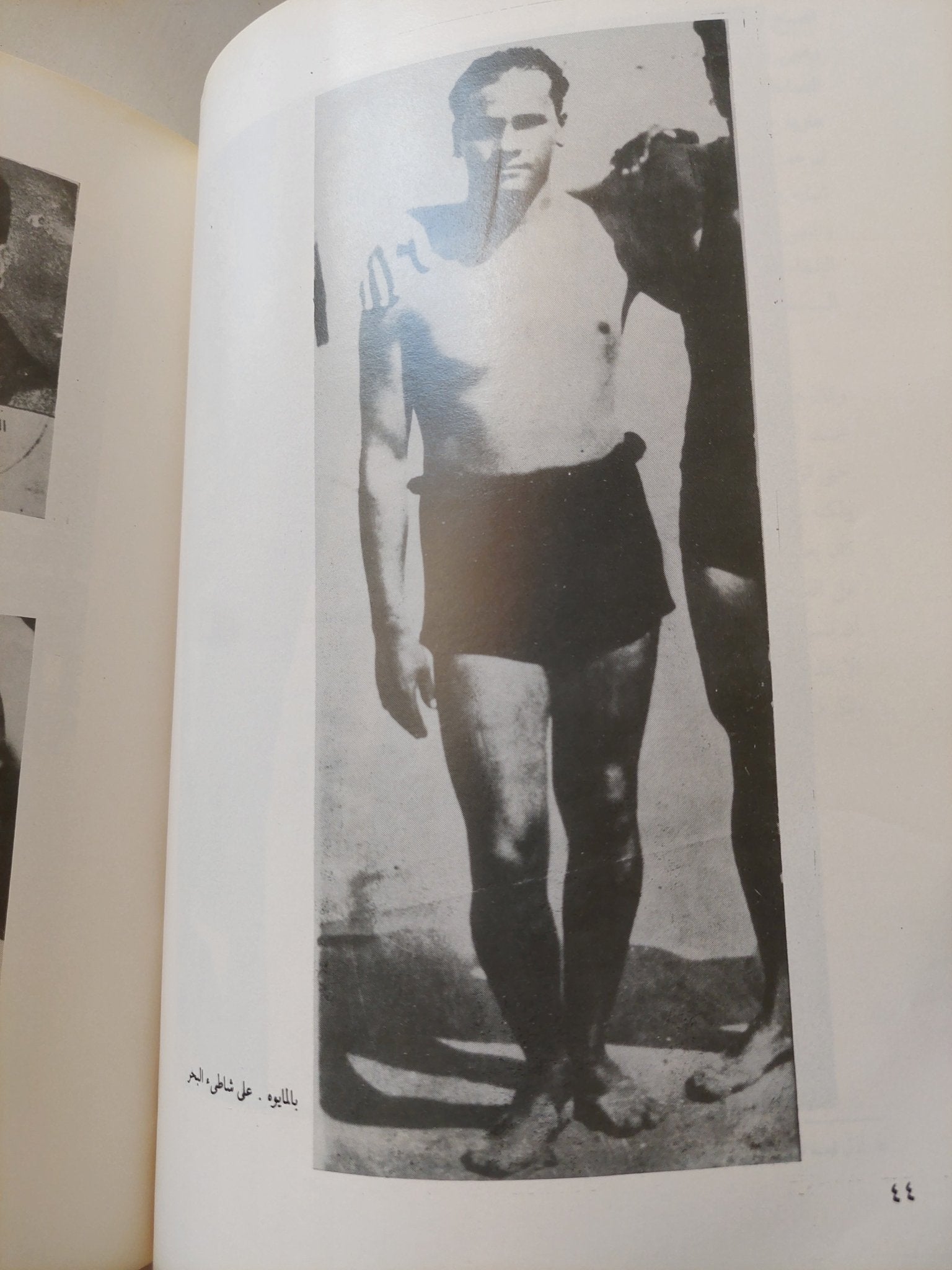 نجيب محفوظ .. نوبل 1988 .. كتاب تذكاري - قطع كبير - متجر كتب مصر - متجر كتب مصر