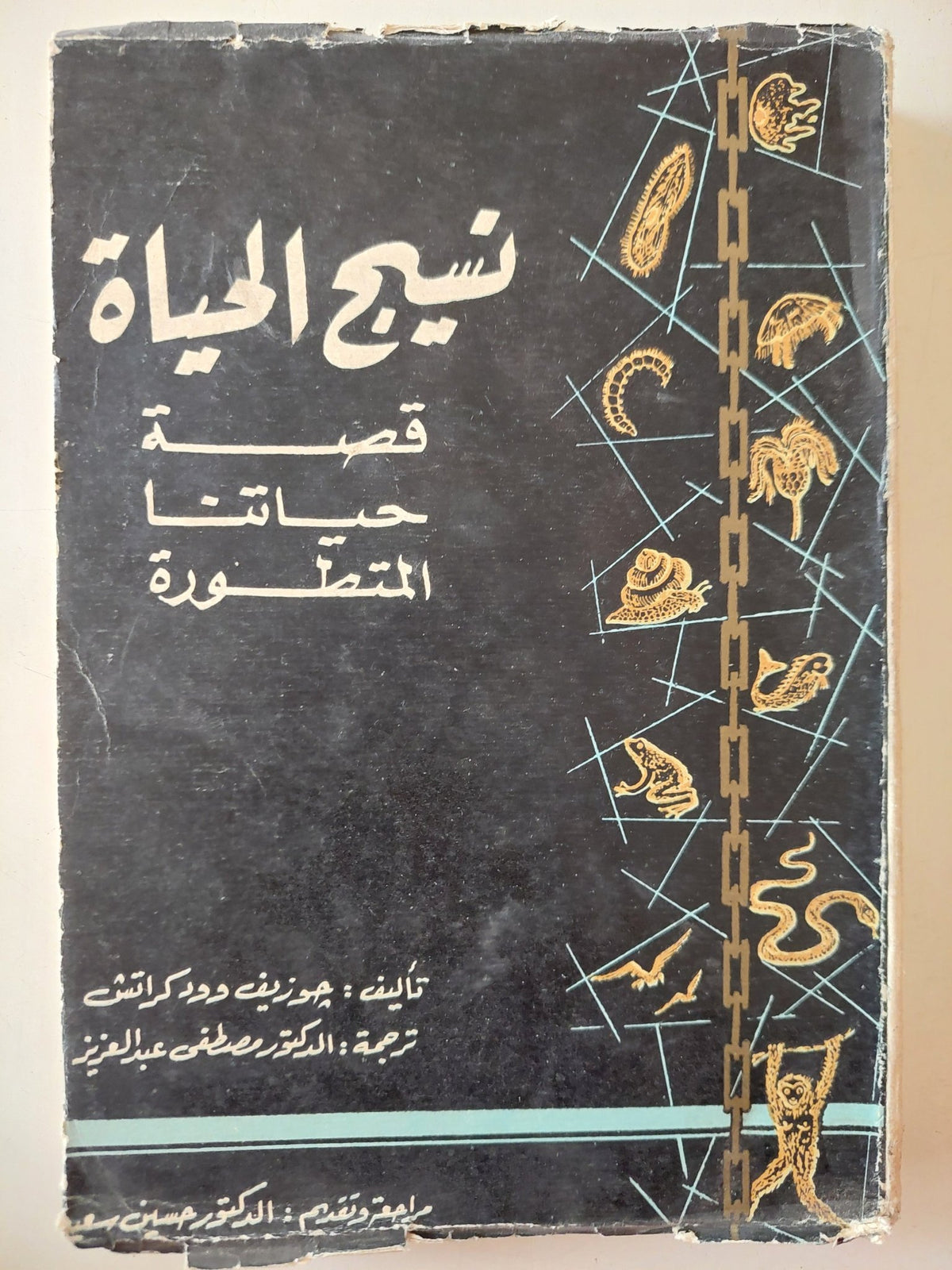 نسيج الحياة .. قصة حياتنا المتطورة / جوزيف وود كراتش - متجر كتب مصر - متجر كتب مصر