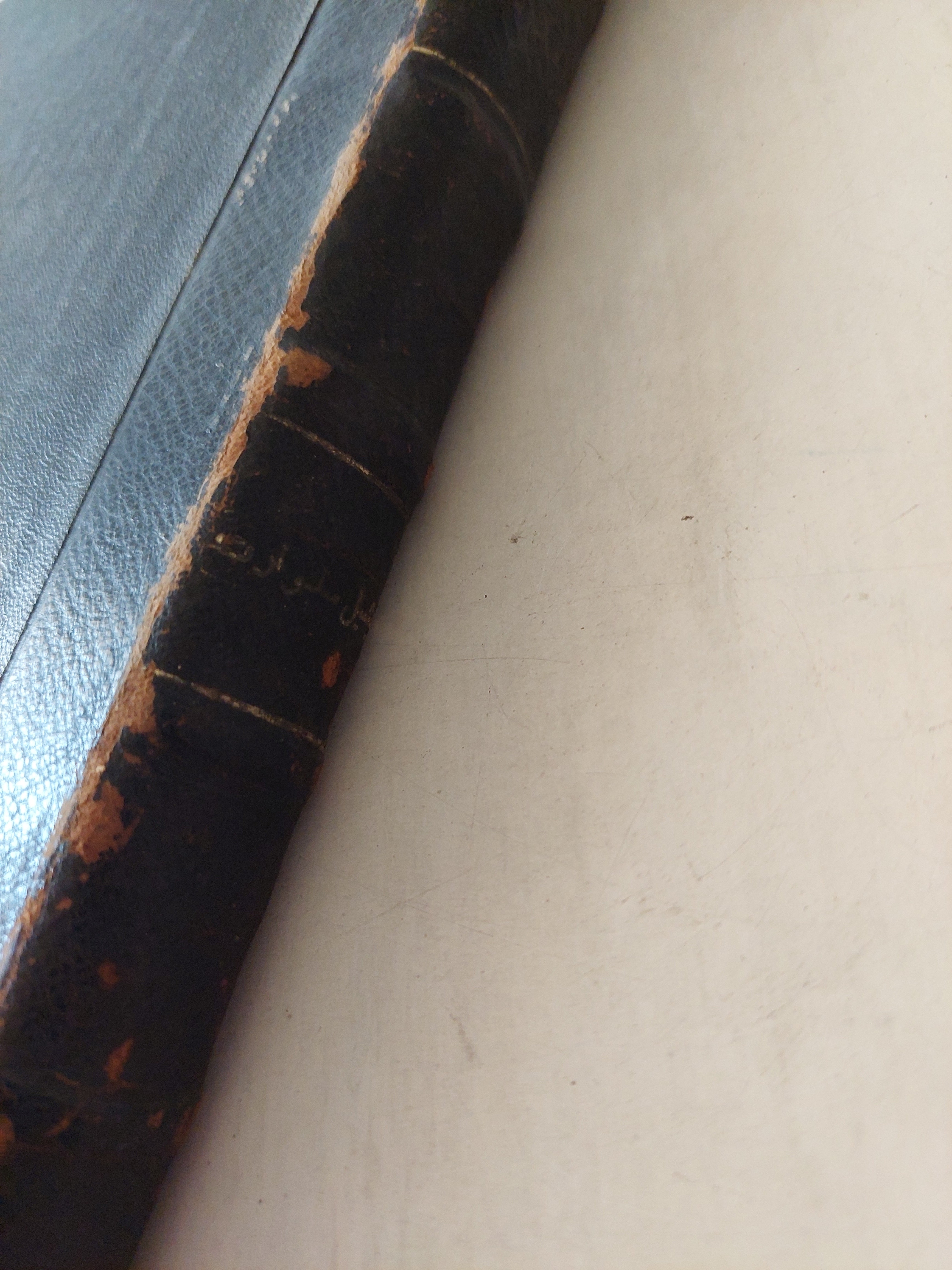 نظم الحكم الحديثة / ميشيل ستيوارت - هارد كفر ١٩٦٢ - متجر كتب مصر - متجر كتب مصر