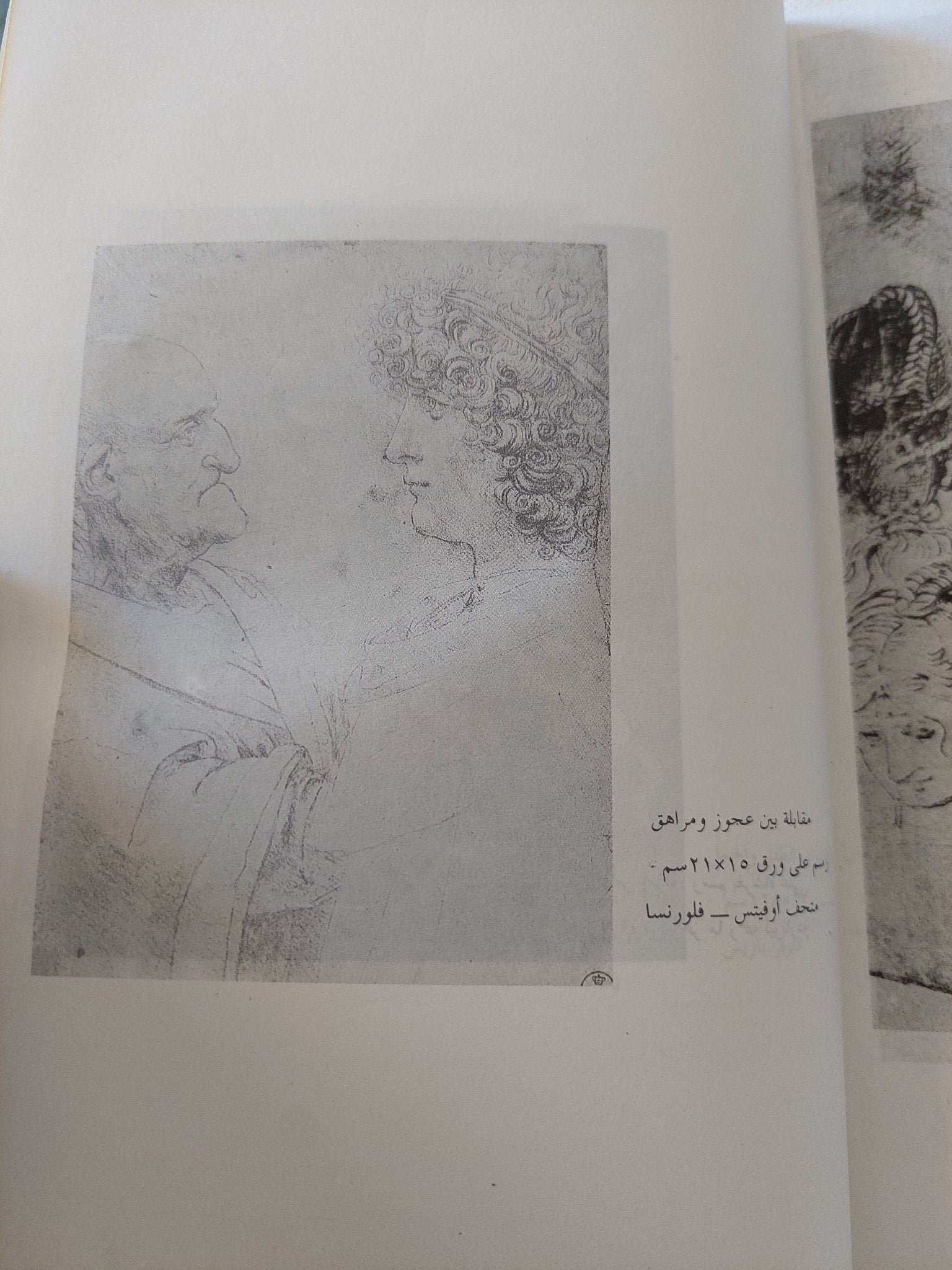 نظرية التصوير / ليوناردو دافنشى - ملحق بالصور - متجر كتب مصر - المكتبة الفلسفية