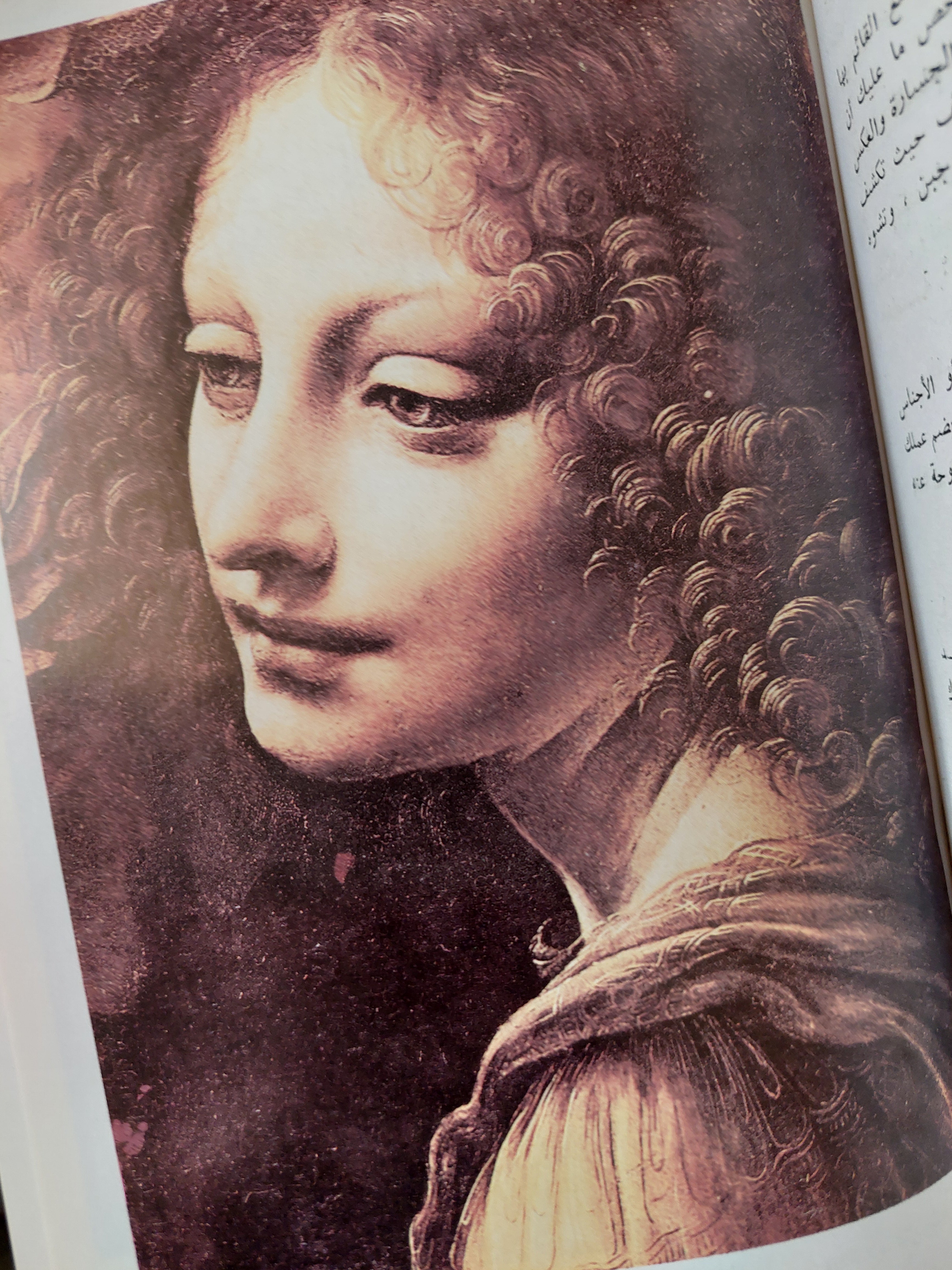 نظرية التصوير / ليوناردو دافنشي - ملحق بالصور - متجر كتب مصر - متجر كتب مصر