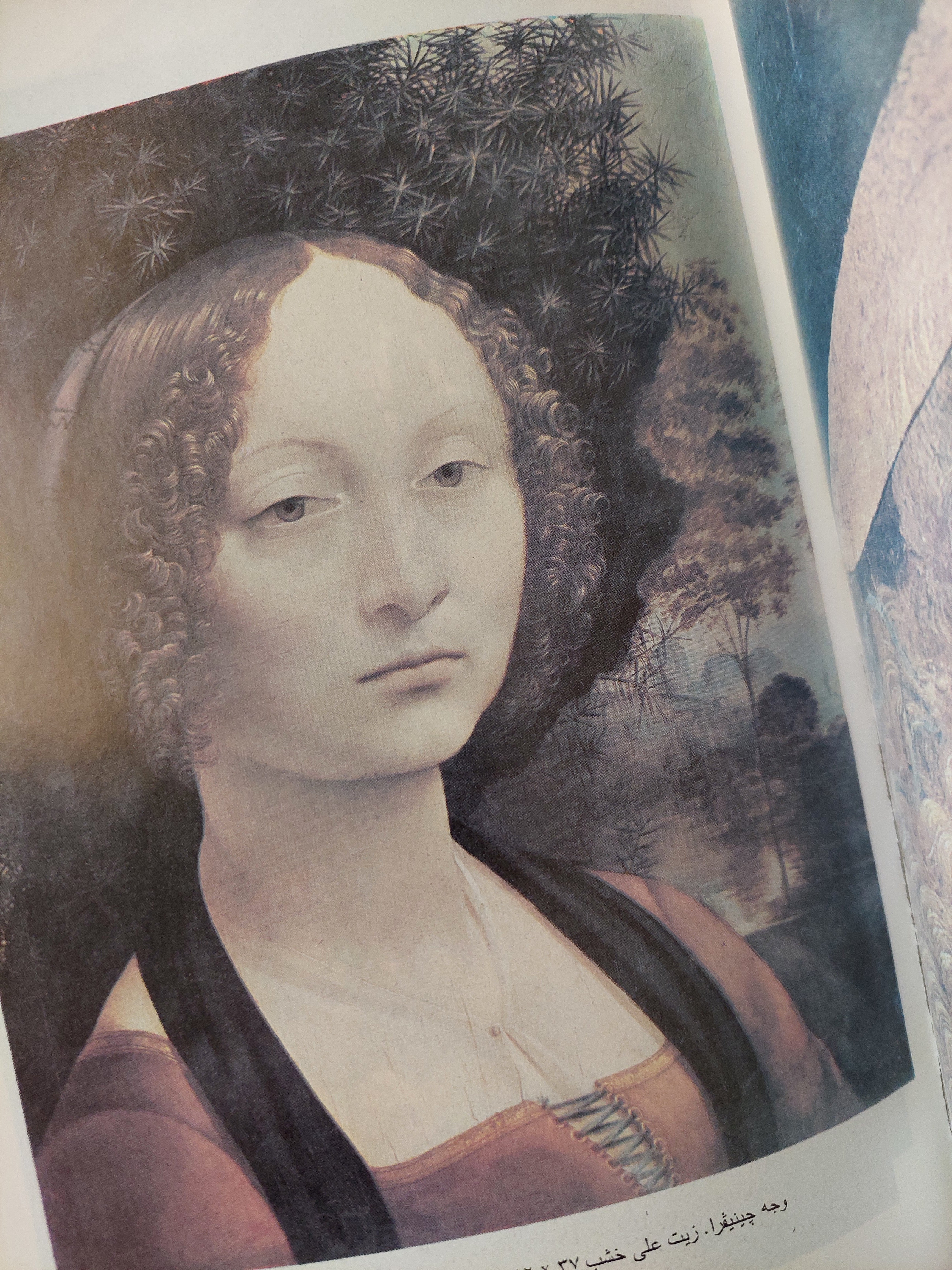 نظرية التصوير / ليوناردو دافنشي - ملحق بالصور - متجر كتب مصر - متجر كتب مصر