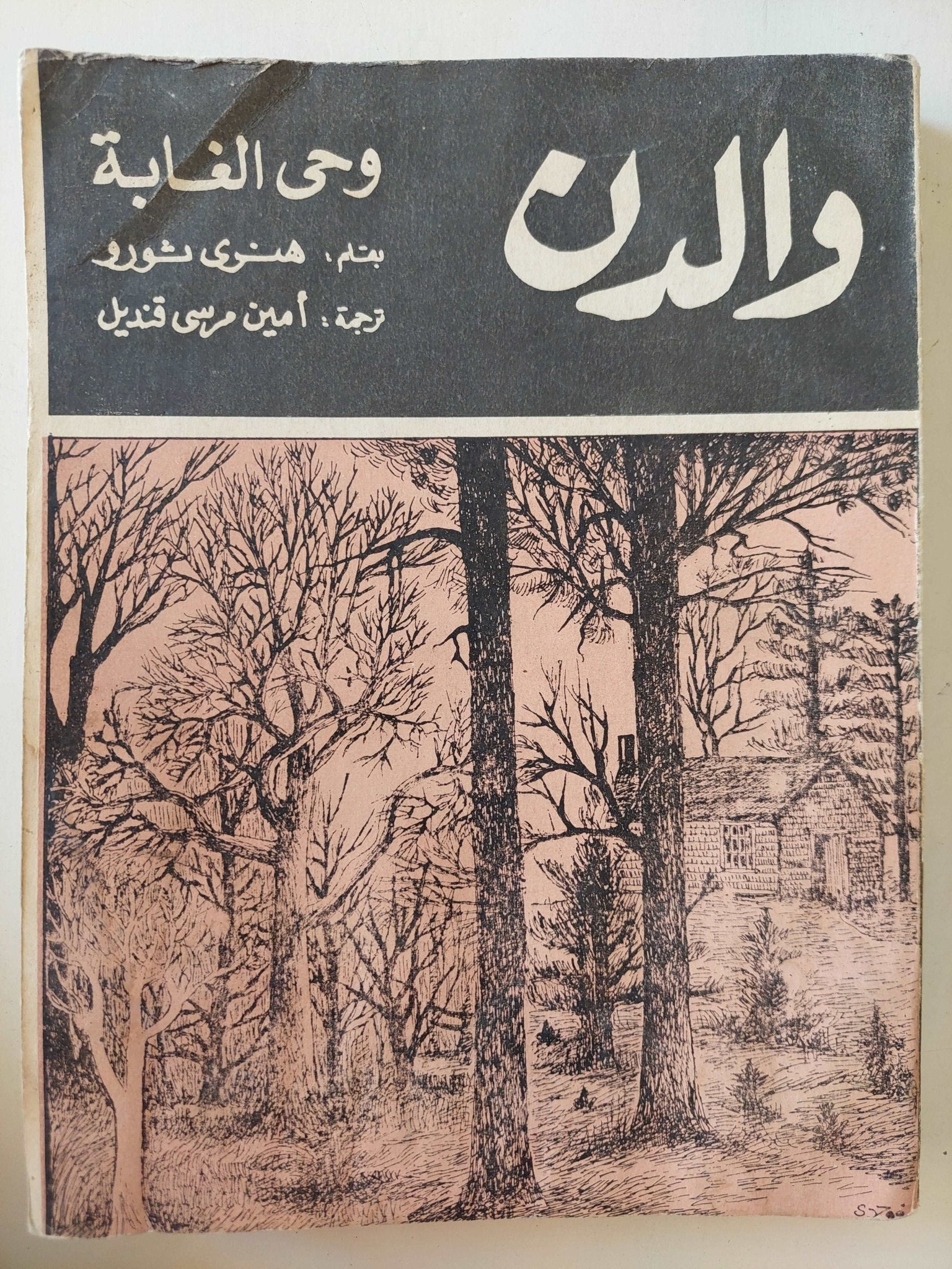 والدن .. وحي الغابة / هنري ثورو - متجر كتب مصرمتجر كتب مصر
