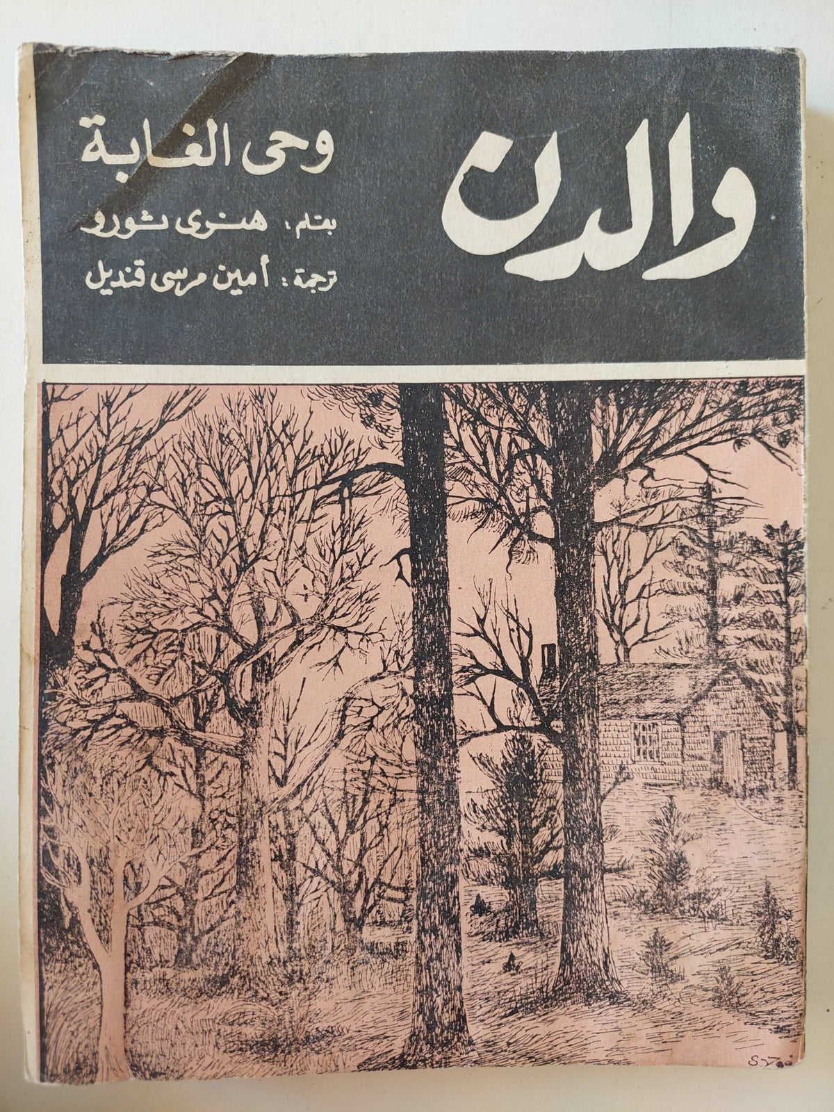 والدن .. وحي الغابة / هنري ثورو - متجر كتب مصرمتجر كتب مصر