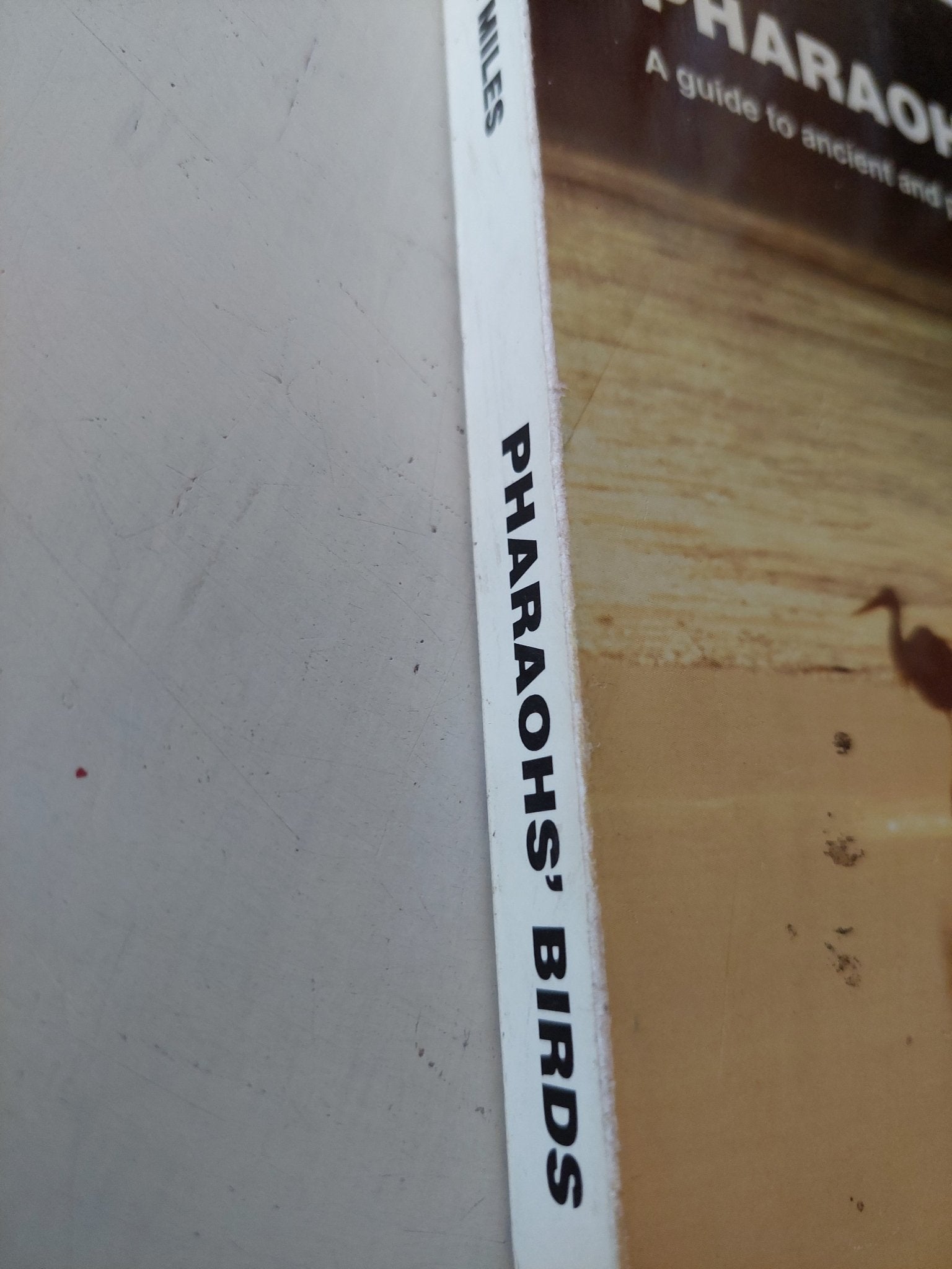 Pharaohs birds / John miles - ملحق بالصور - متجر كتب مصر - متجر كتب مصر