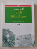 رامبو فى الحبشة / ألان بورير - متجر كتب مصر - المكتبة الفلسفية