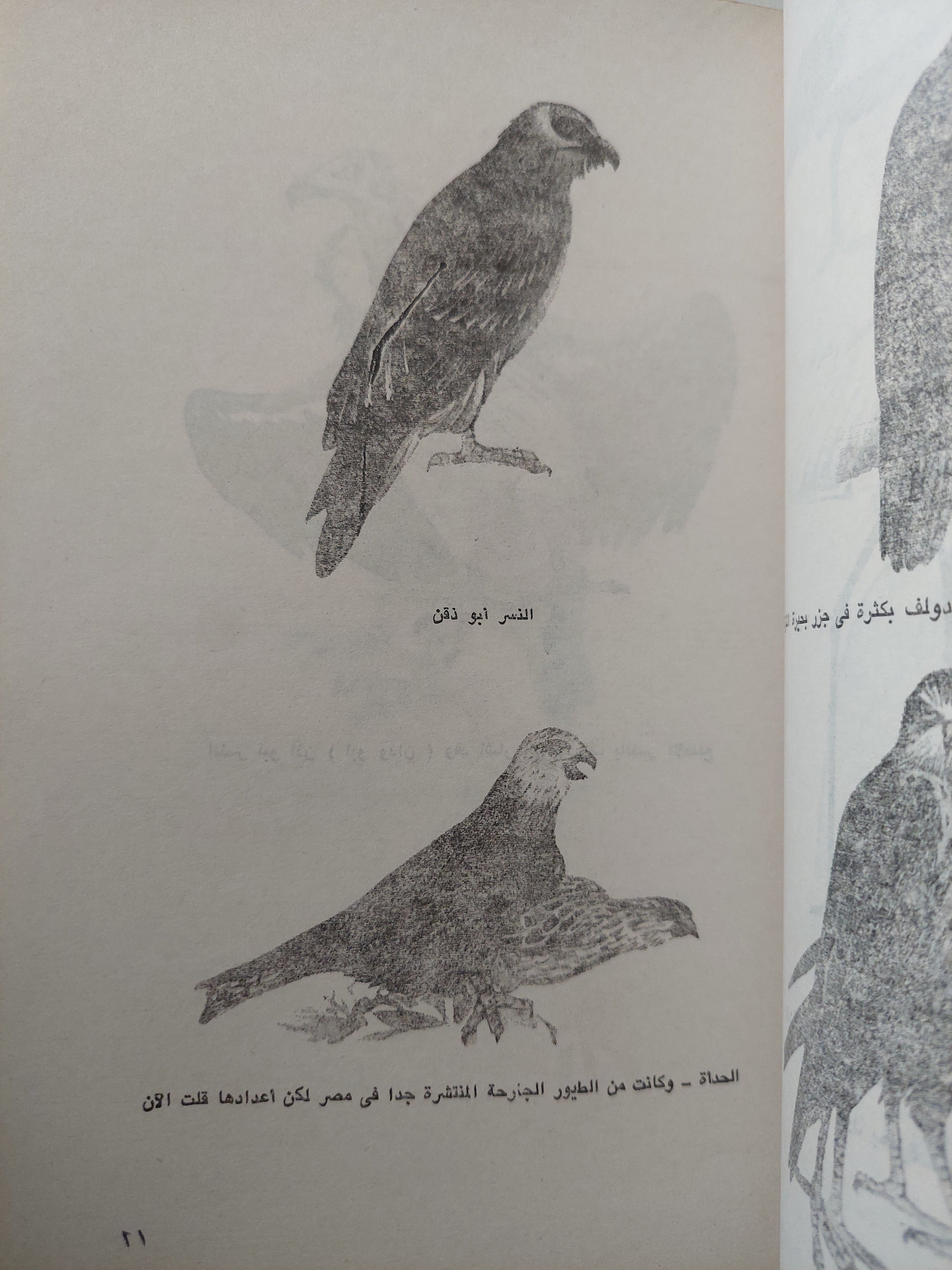 رحلة الأمير رودولف الى الشرق - ٣ أجزاء كاملة - متجر كتب مصر - متجر كتب مصر