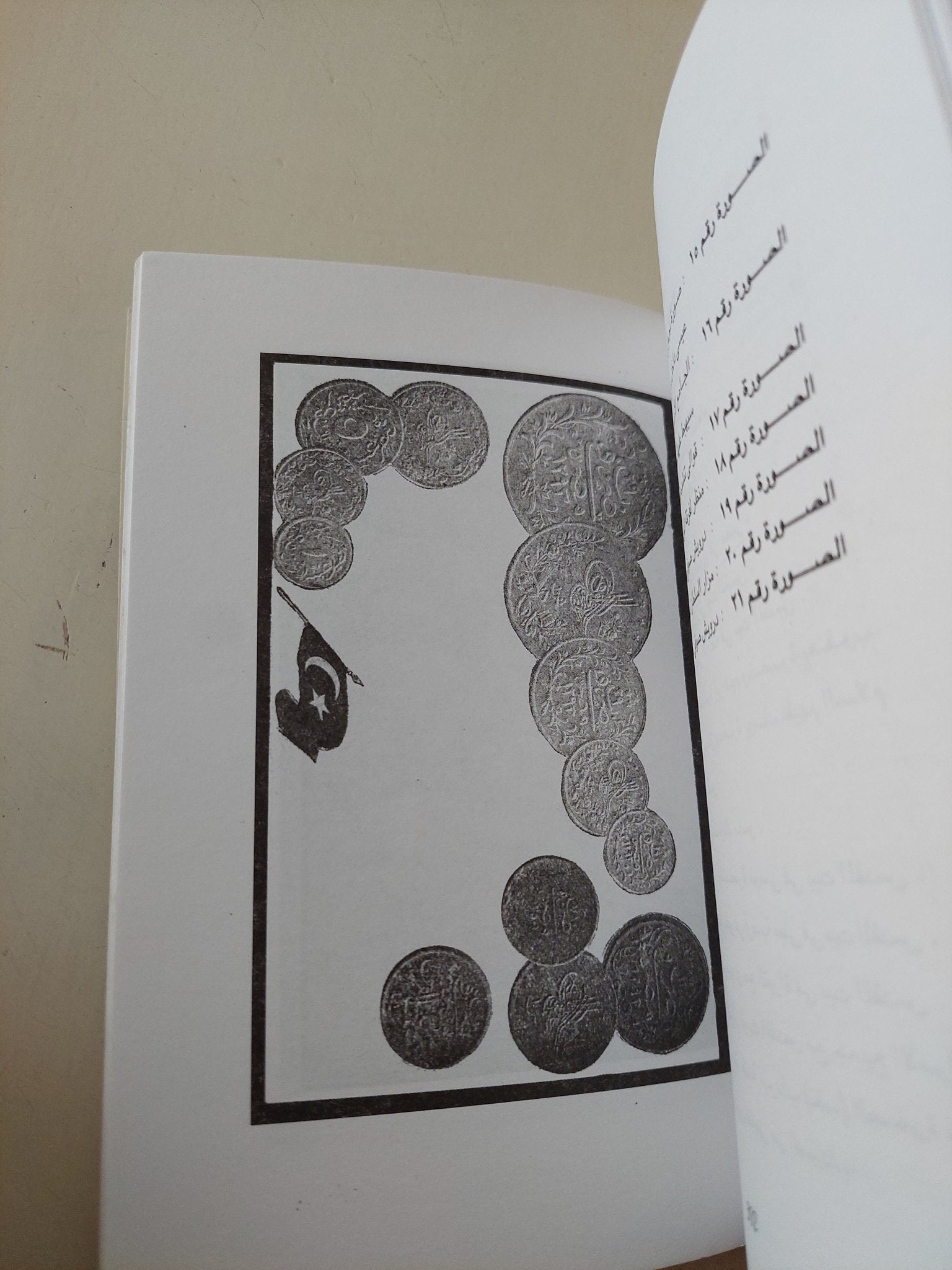 رحلة خواجة حسن نظامي الدهلوي في مصر وفلسطين والشام والحجاز (1911م) - متجر كتب مصر - متجر كتب مصر