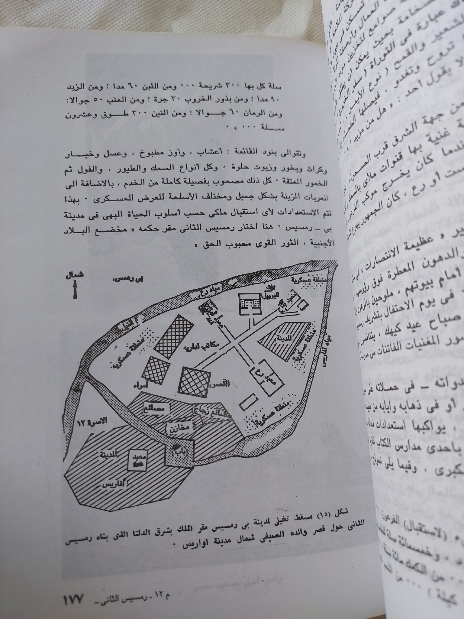 رمسيس الثانى .. فرعون المجد والإنتصار / كنت كتشن - متجر كتب مصر - المكتبة الفلسفية