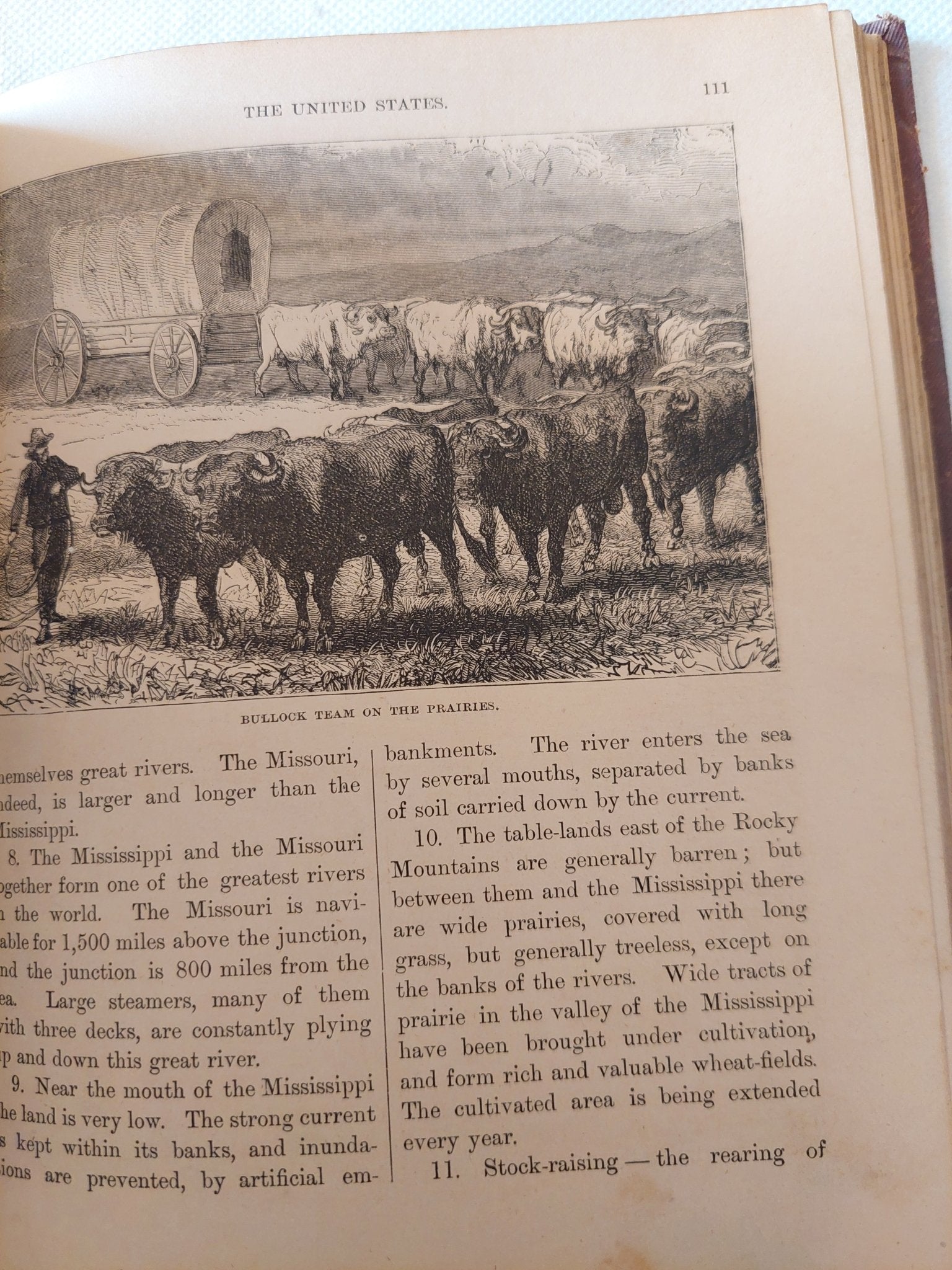 Royal Geographical readers - هارد كفر ملحق بالصور - متجر كتب مصر - متجر كتب مصر