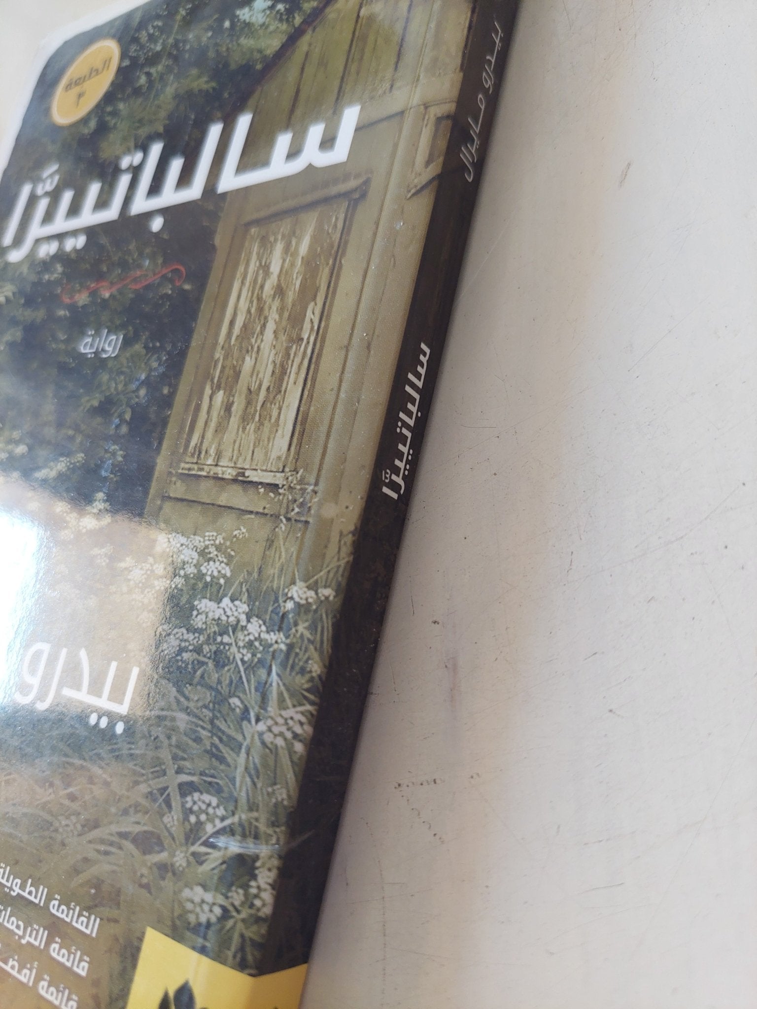 سالباتييرا / بيدرو مايرال - متجر كتب مصر - المكتبة الفلسفية