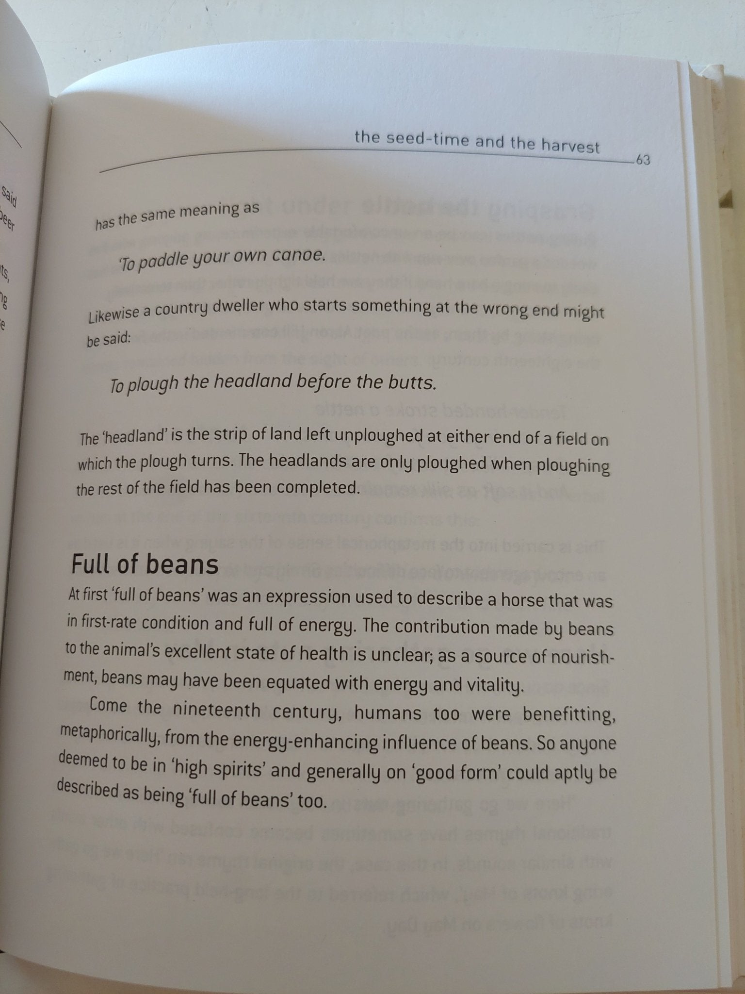 Salt of the earth .. origins and meanings of country sayings - متجر كتب مصر - متجر كتب مصر