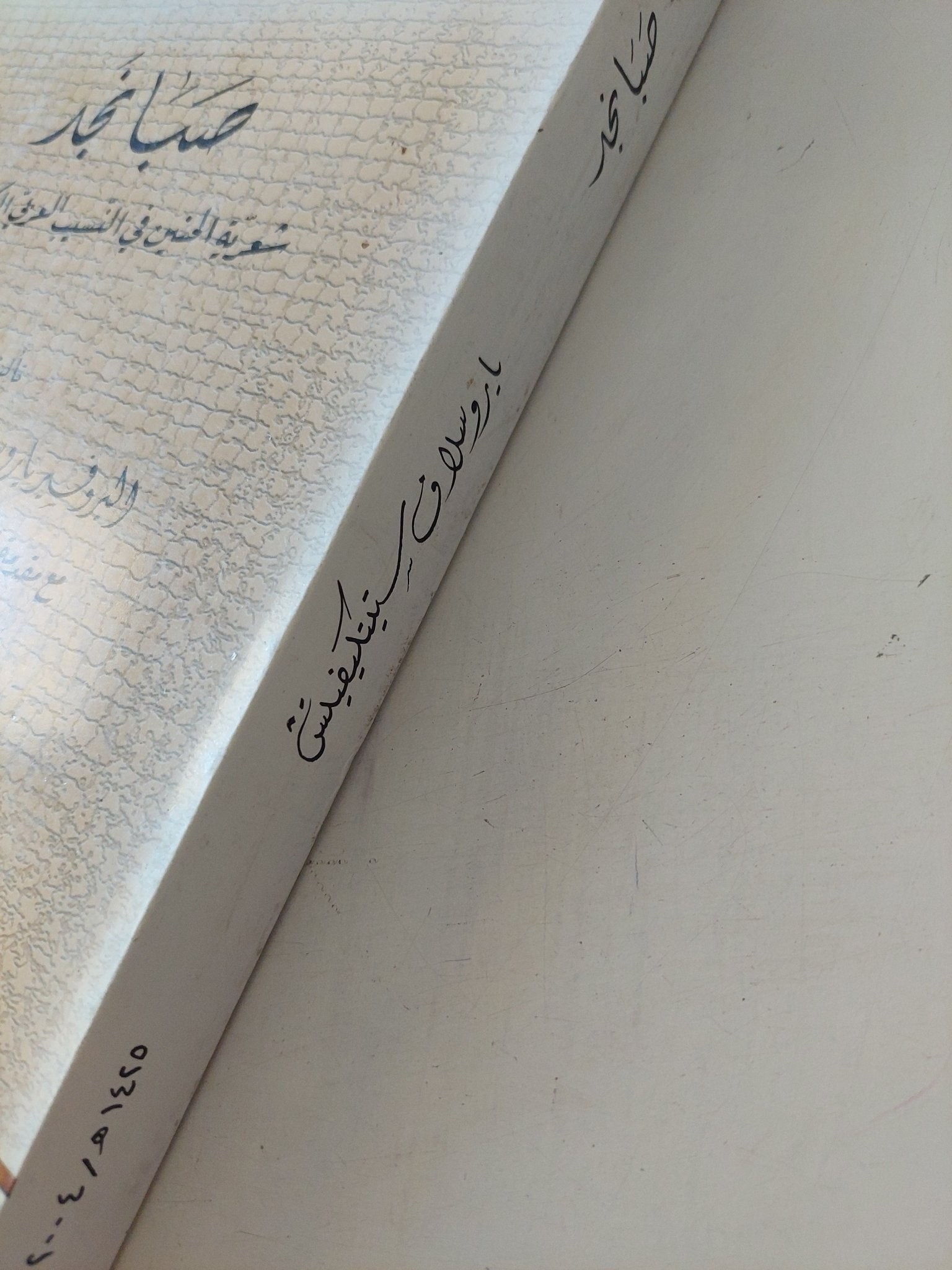 صبا نجد - شعرية الحنين في النسيب العربي الكلاسيكي / ياروسلاف ستيتكيفيتش - متجر كتب مصر - المكتبة الفلسفية