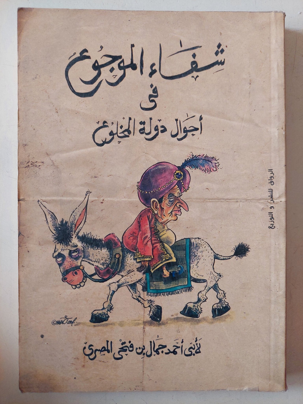 شفاء الموجوع فى أجوال دولة المخلوع / أبى أحمد جمال بن فتحى المصرى - متجر كتب مصر - متجر كتب مصر