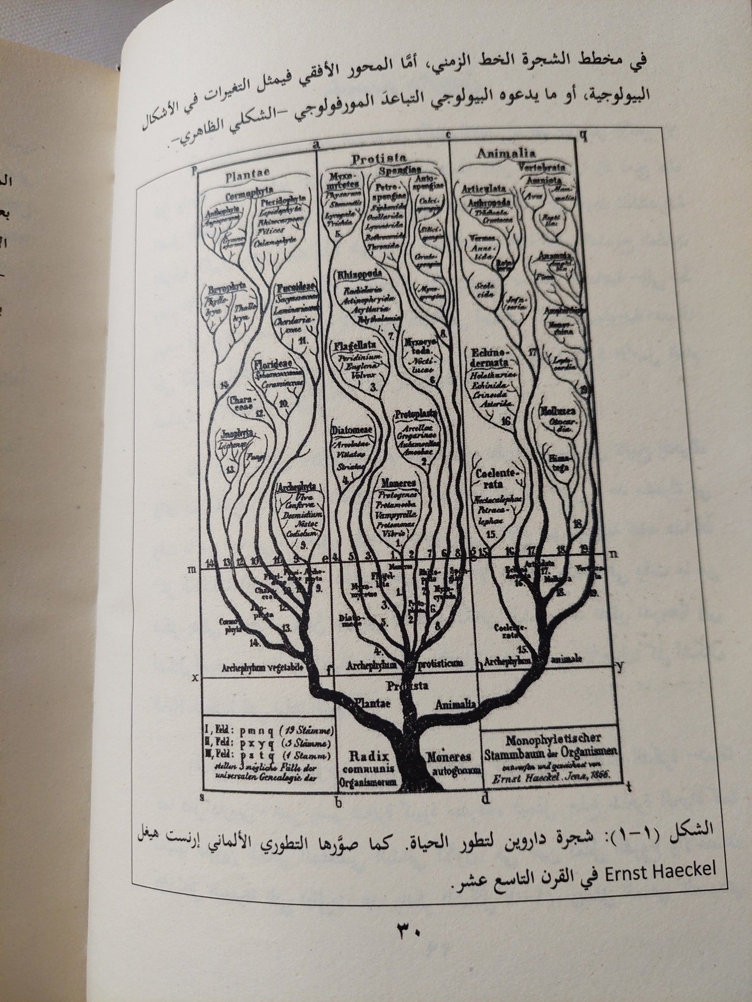 شك داروين .. النشوء المفاجىء لحياة الكائنات وحجة التصميم الذكى / ستيفن ماير - هارد كفر - متجر كتب مصر - المكتبة الفلسفية