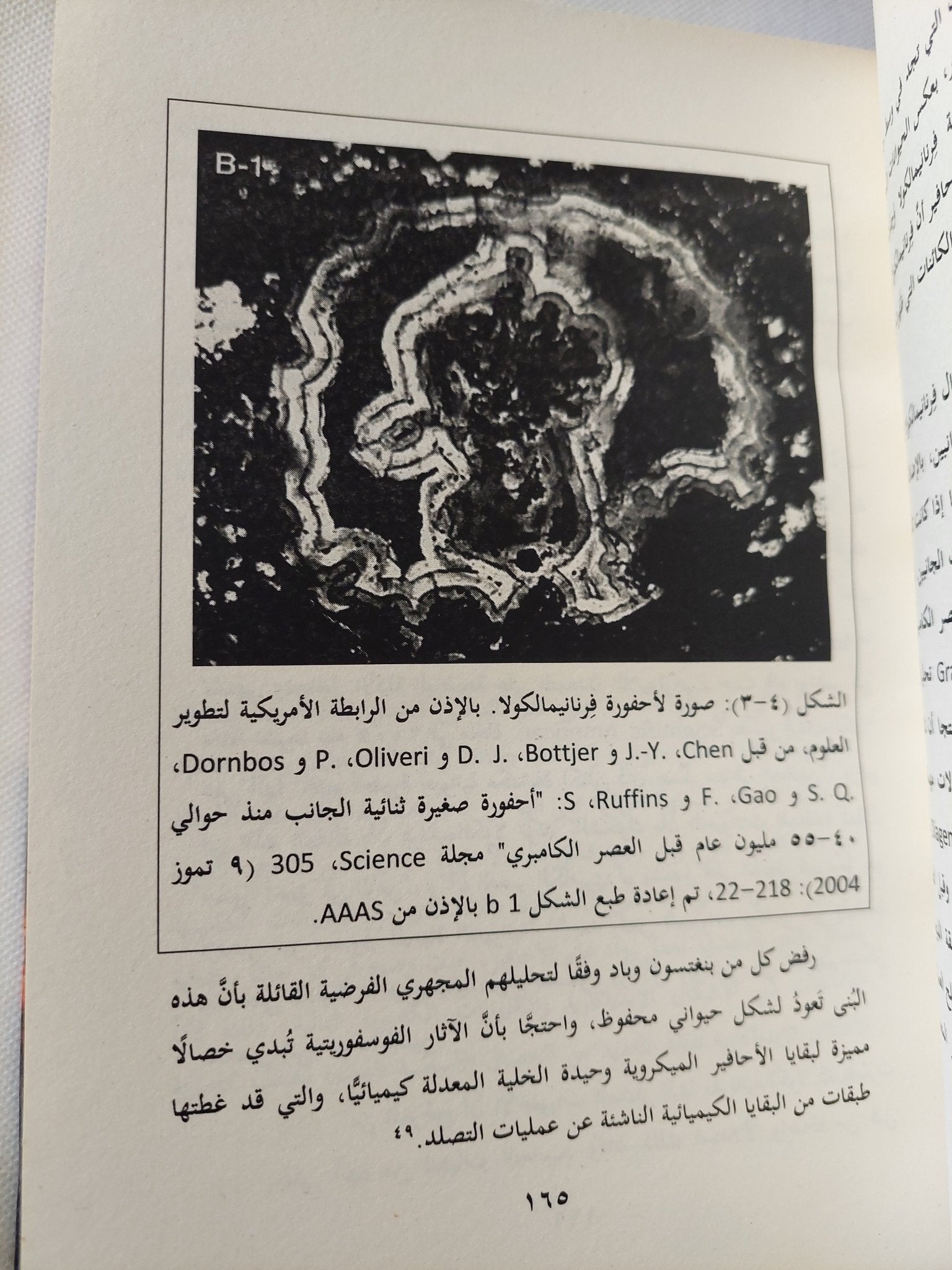 شك داروين .. النشوء المفاجىء لحياة الكائنات وحجة التصميم الذكى / ستيفن ماير - هارد كفر - متجر كتب مصر - المكتبة الفلسفية