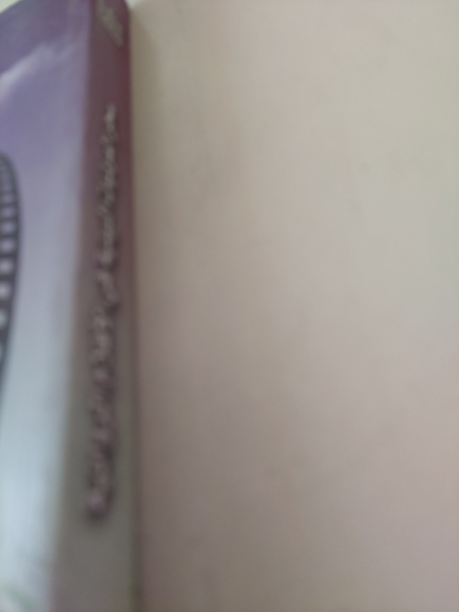 سحر المرئيات البيئية فى الأفلام الروائية / فاروق إبراهيم - ملحق بالصور - متجر كتب مصر - متجر كتب مصر