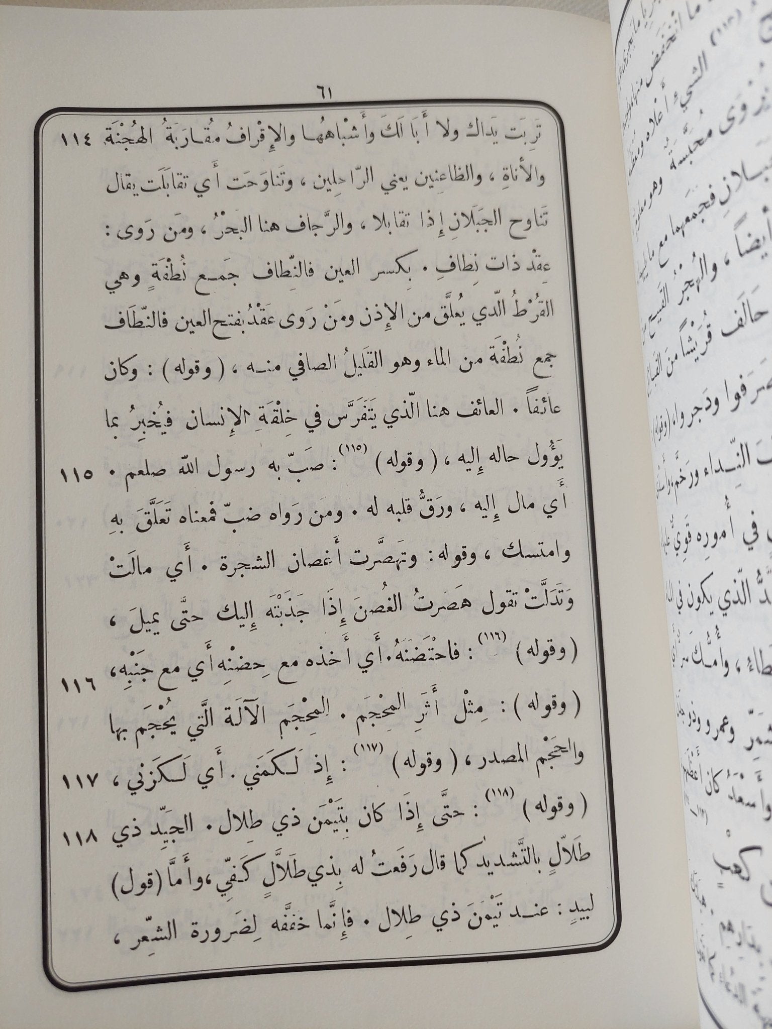 شرح السيرة النبوية .. رواية بن هشام - هارد كفر - متجر كتب مصر - المكتبة الفلسفية