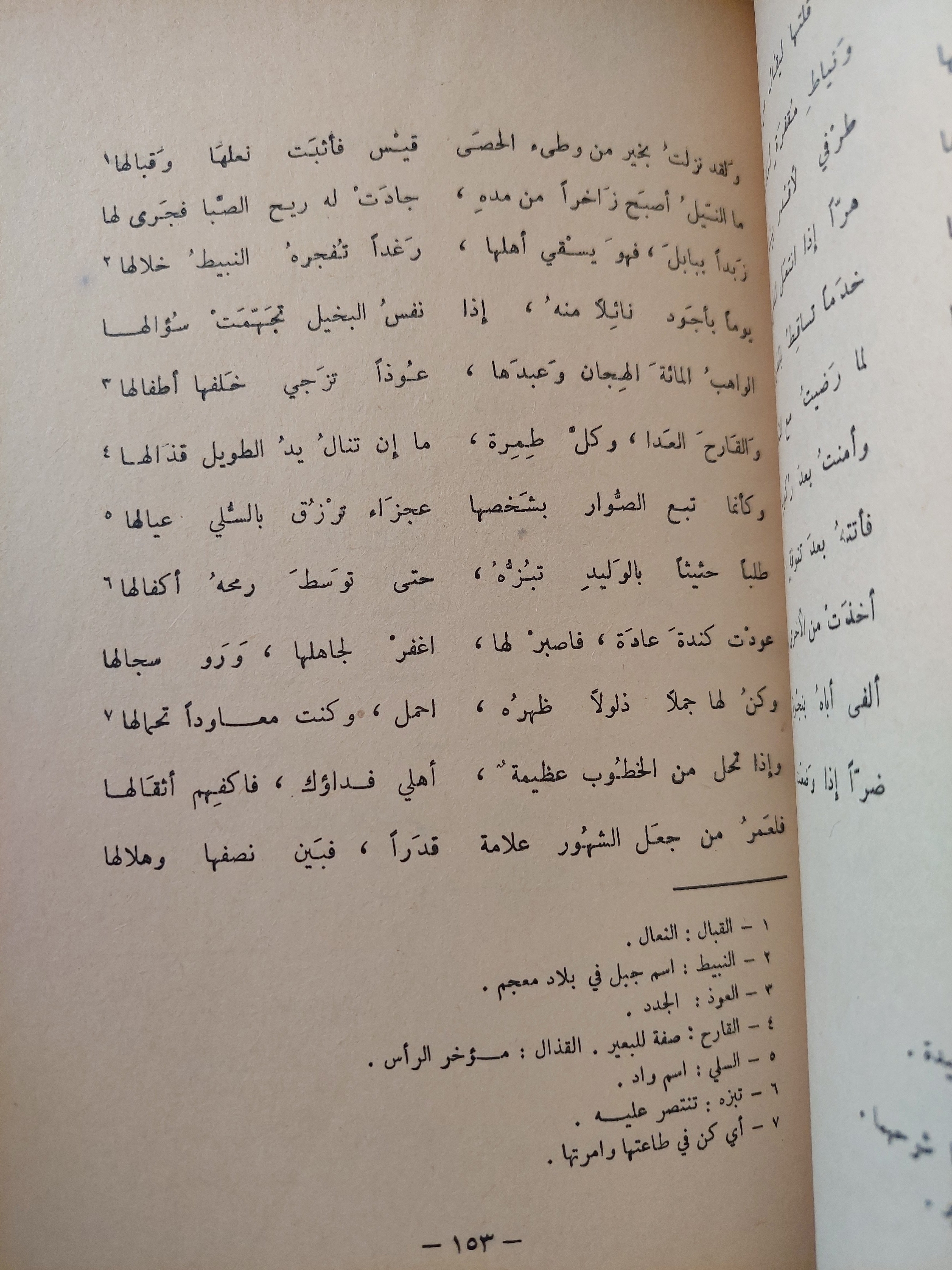 شرح ديوان الأعشي / إبراهيم جزينى طبعة ١٩٦٨ - متجر كتب مصر - متجر كتب مصر