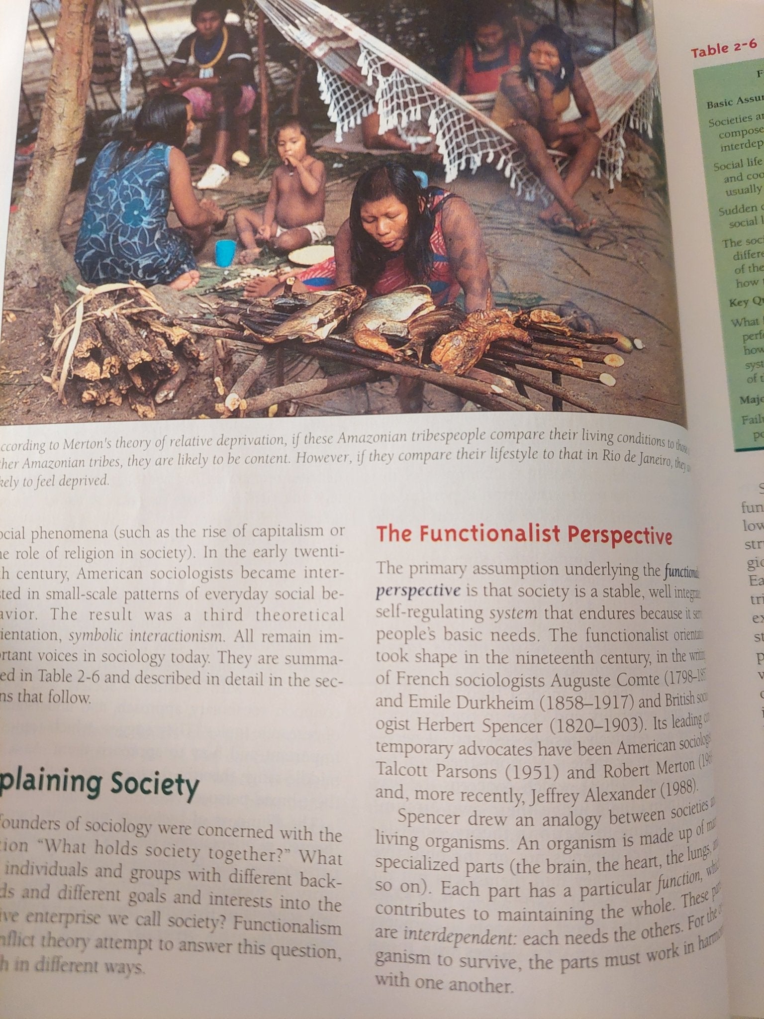 Sociology .. an introduction / Richard Gelles & Ann Levine - قطع كبير ملحق بالصور - متجر كتب مصر - متجر كتب مصر