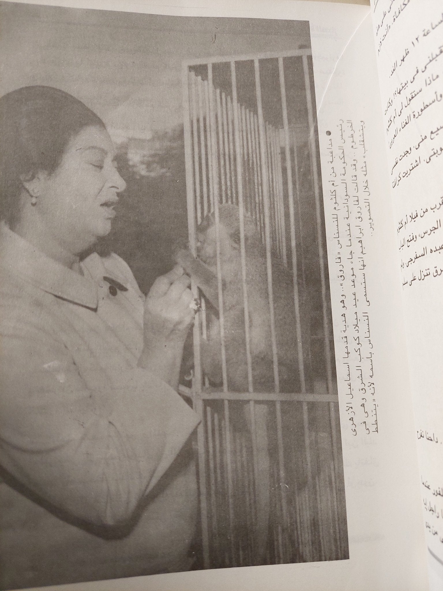 صور وأسرار من حياة الكبار إهداء خاص من المؤلف أمير الزهار / ملحق بالصور - متجر كتب مصر - متجر كتب مصر