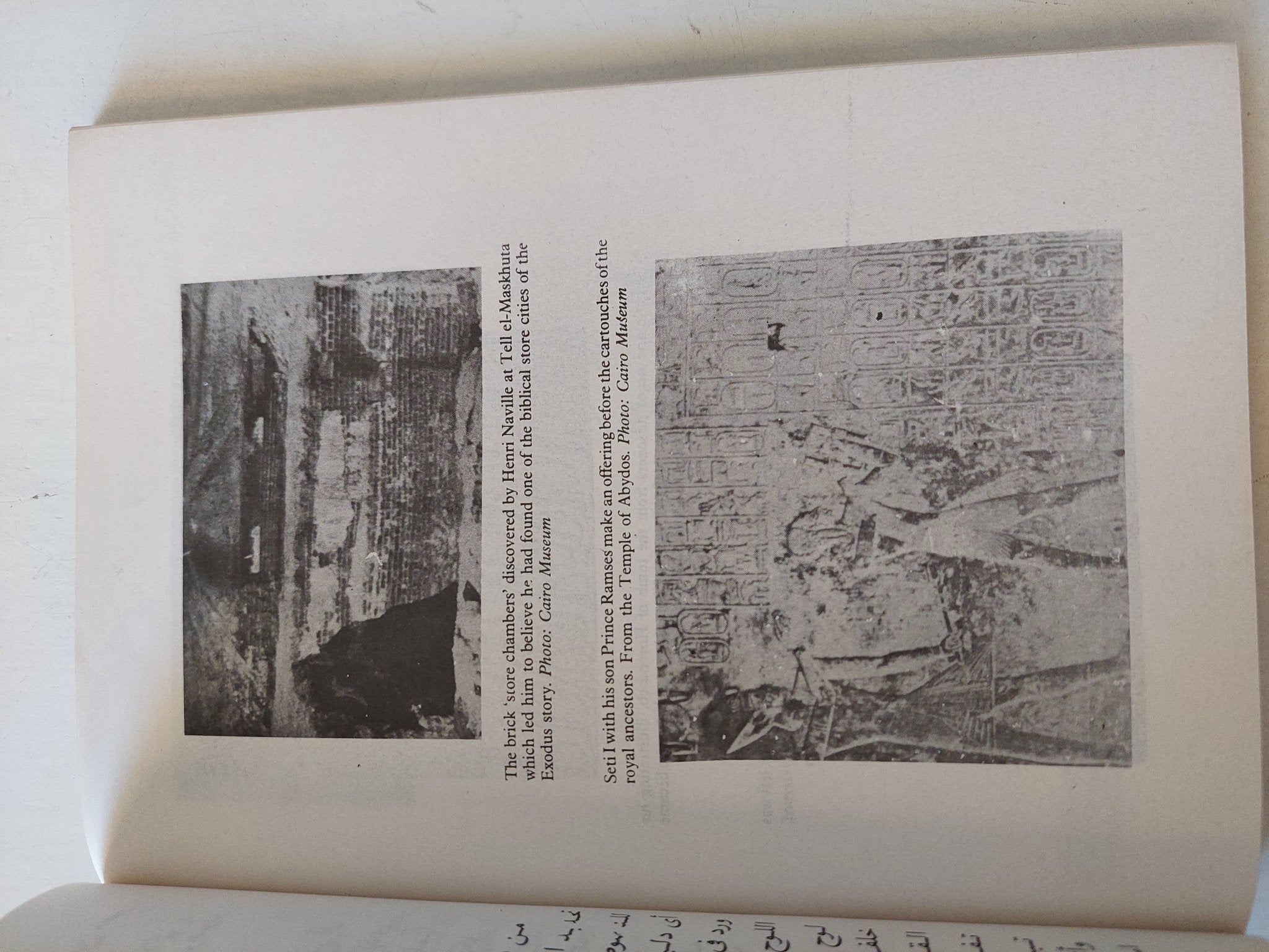 Stranger in the valley of the kings / Ahmed Osman - متجر كتب مصر - متجر كتب مصر