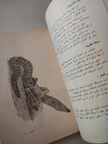 صيد البحر / عبد المنصف محمود - متجر كتب مصر - متجر كتب مصر