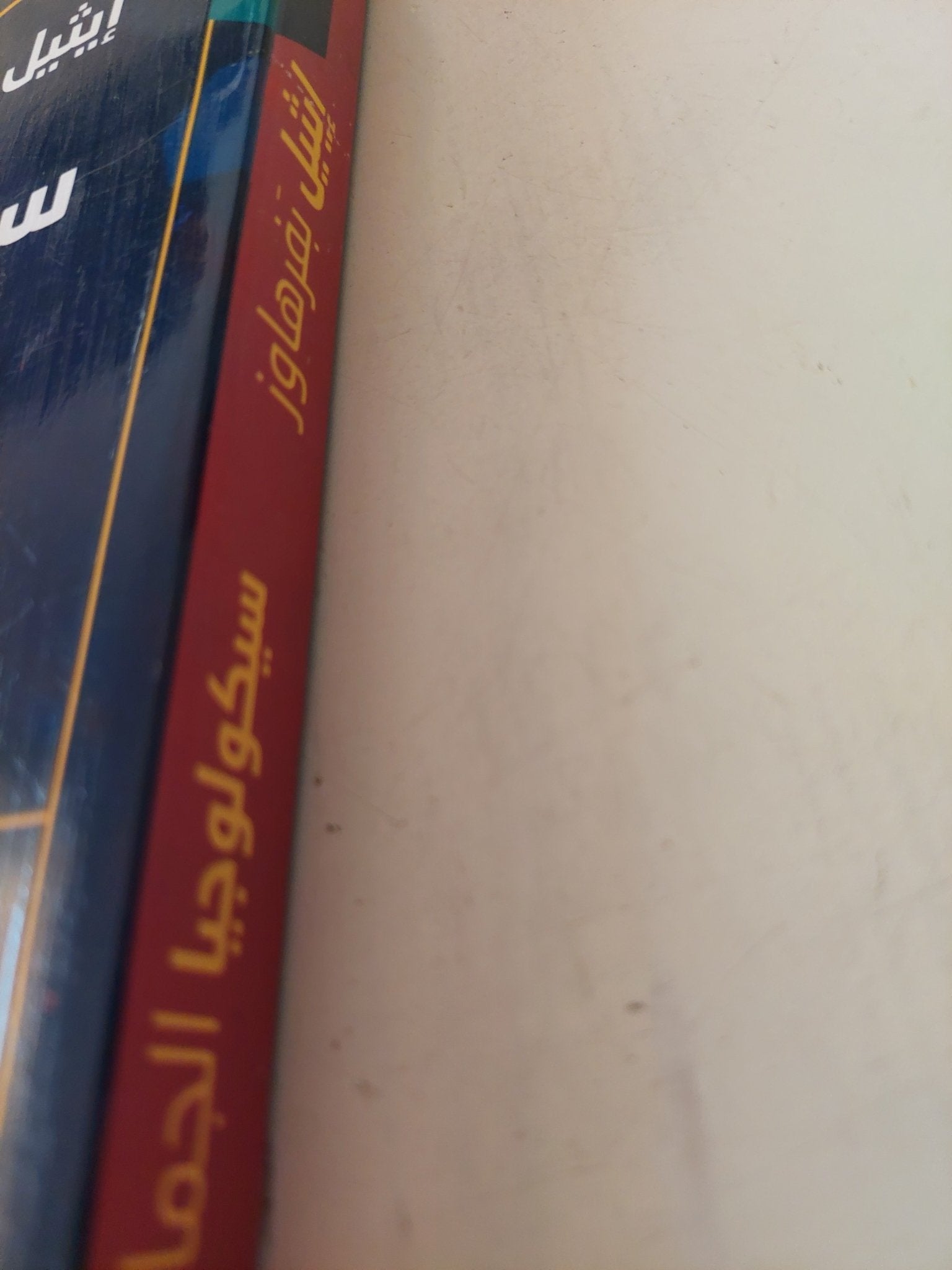 سيكولوجيا الجمال / إيثيل بفرهاور - متجر كتب مصر - متجر كتب مصر