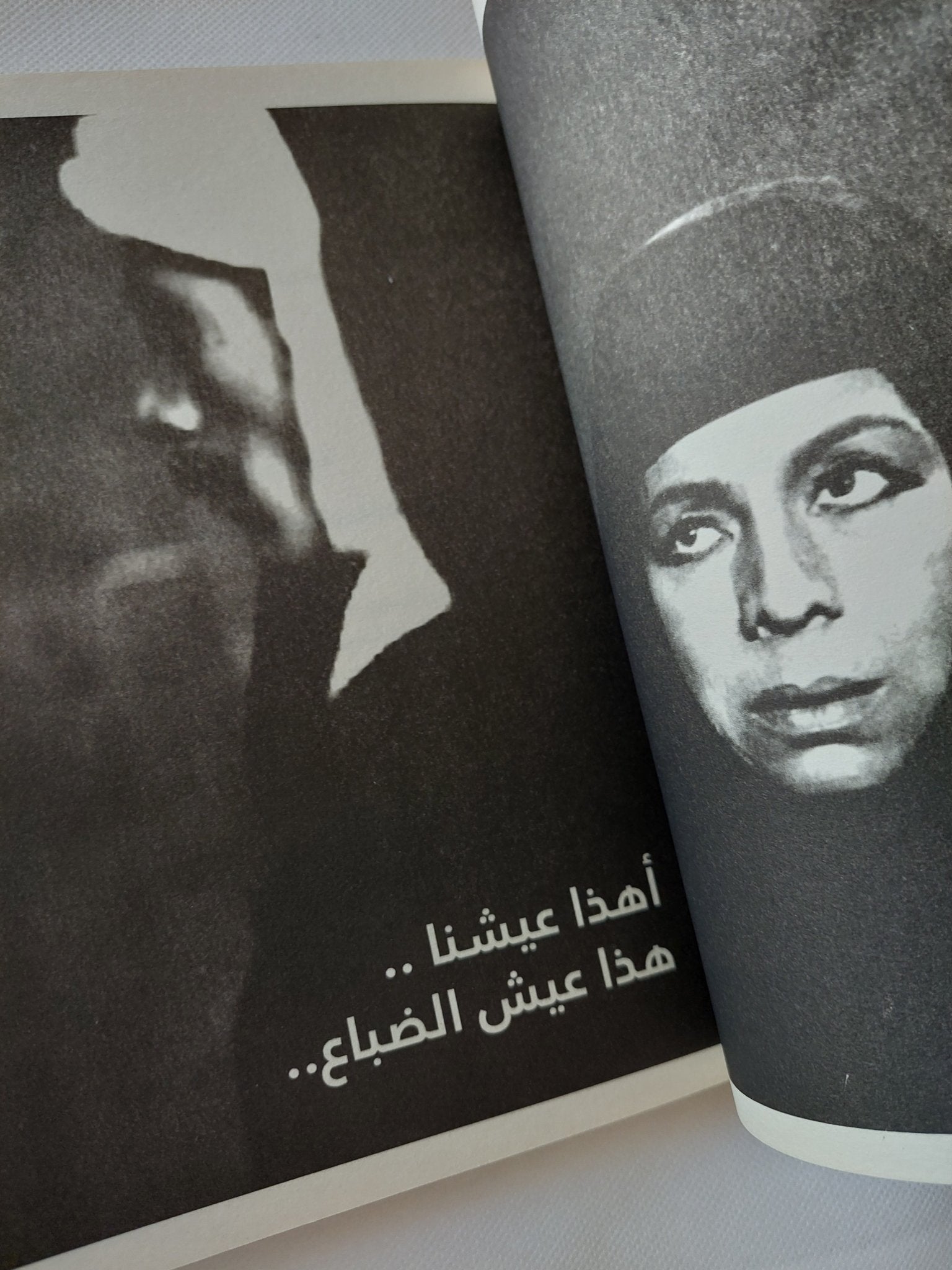 تاريخ العصامية والجربعة / محمد نعيم - متجر كتب مصر - المكتبة الفلسفية