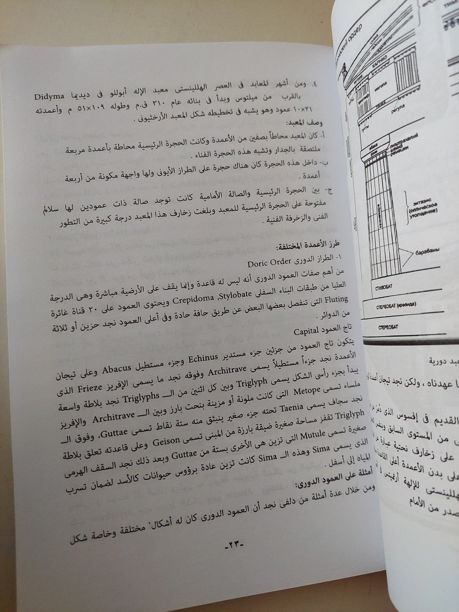 تاريخ الفن الجزء الثانى / محمد زينهم - متجر كتب مصر - متجر كتب مصر