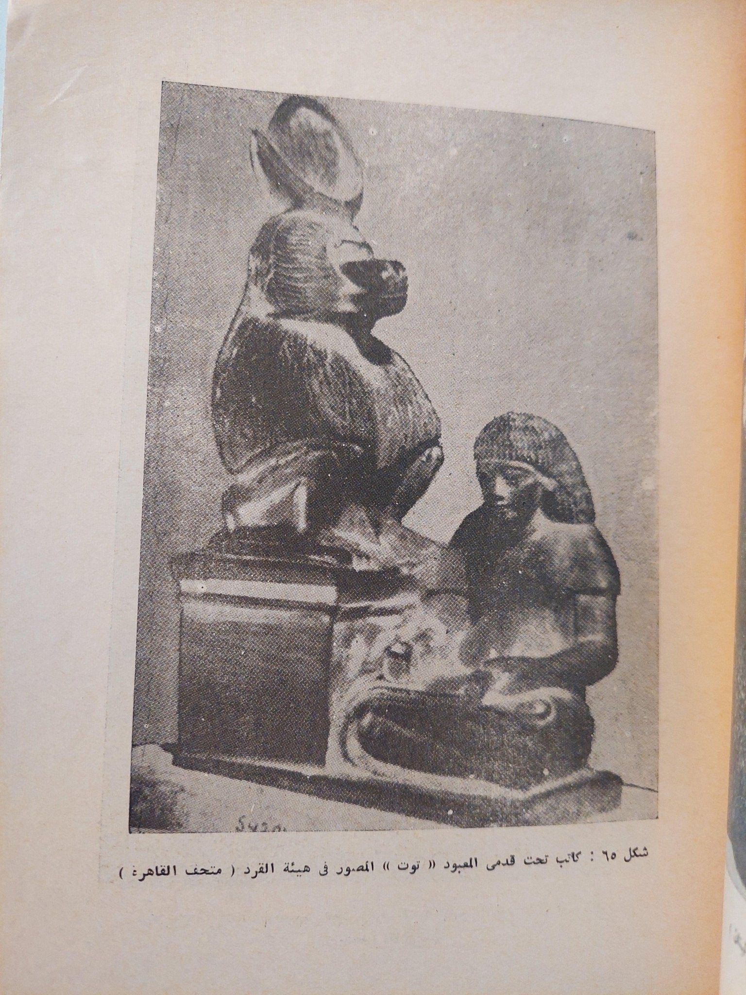 تاريخ التربية والتعليم في مصر / جزئين مع ملحق خاص للصور - متجر كتب مصر - متجر كتب مصر
