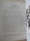 تاريخ فلسطين للفتيان .. العصر القديم / عبد الرحمن المزين - قطع كبير ملحق بالصور - متجر كتب مصر - متجر كتب مصر
