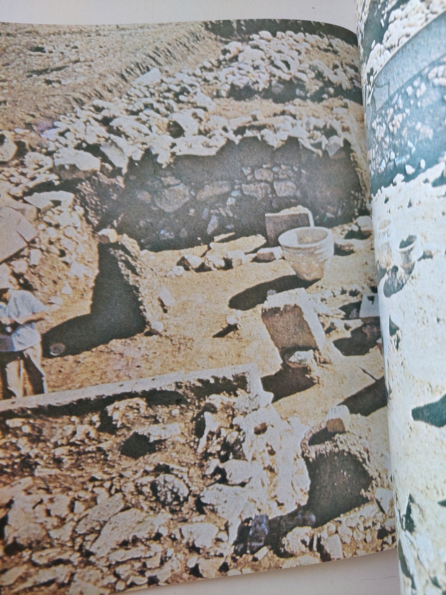 تاريخ فلسطين للفتيان .. العصر القديم / عبد الرحمن المزين - قطع كبير ملحق بالصور - متجر كتب مصر - متجر كتب مصر