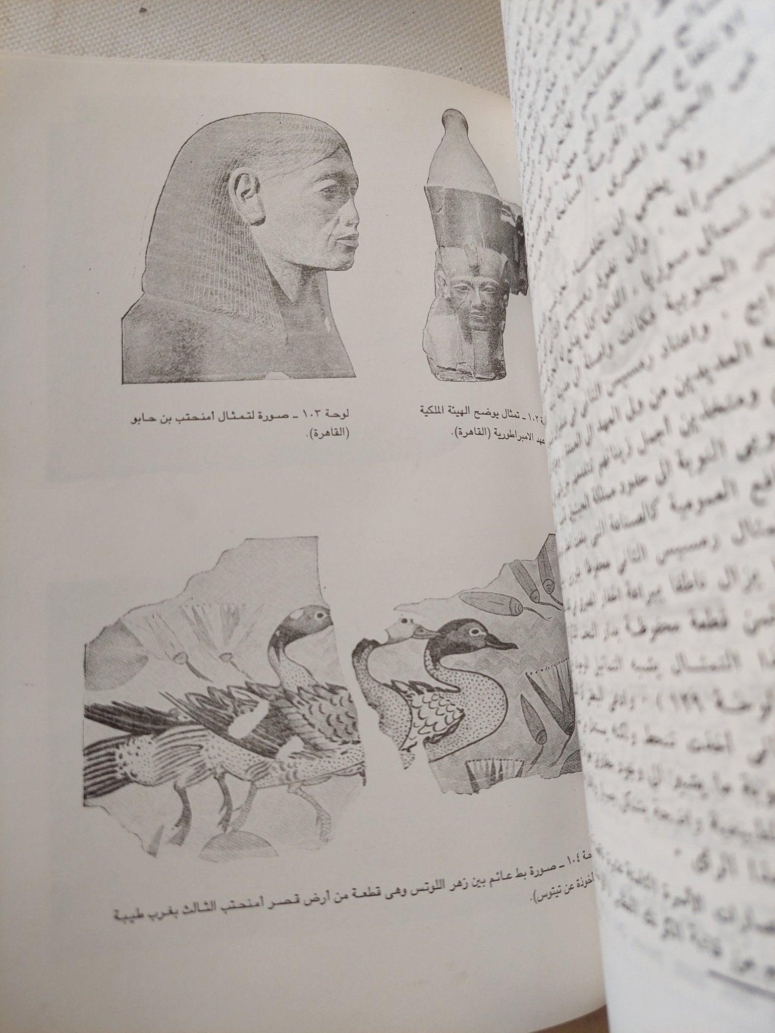تاريخ مصر من أقدم العصور الى العصر الفارسى / جيمس هنرى برستد - ملحق بالصور - متجر كتب مصر - متجر كتب مصر