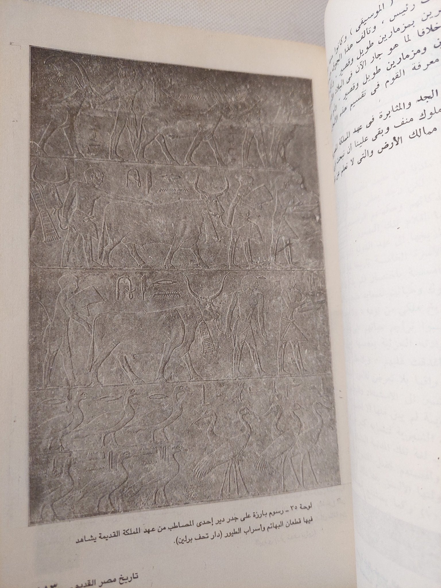 تاريخ مصر منذ أقدم العصور الى العصر الفارسى / جيمس هنرى برستد - ملحق بالصور - متجر كتب مصر - متجر كتب مصر
