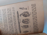 The adventure of man .. his evolution from prehistory to civilization / Arthur Gregor - متجر كتب مصر - متجر كتب مصر