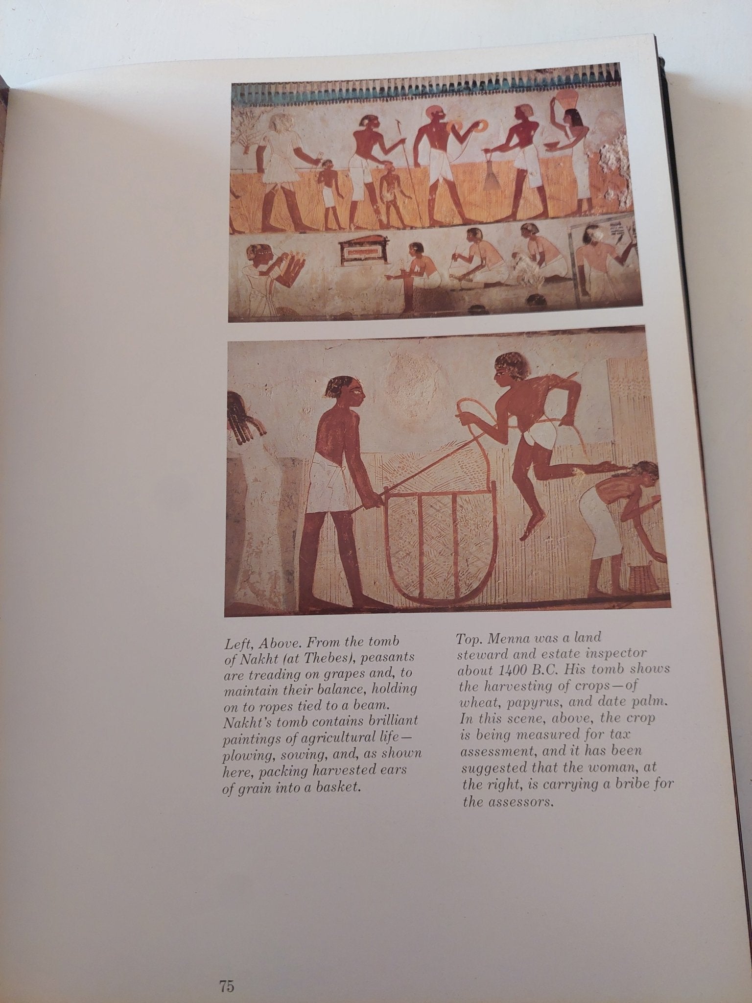 The Egypt Story: Its Art, Its Monuments, Its People, Its History - قطع كبير ملحق بالصور/ هارد كفر - متجر كتب مصر - متجر كتب مصر