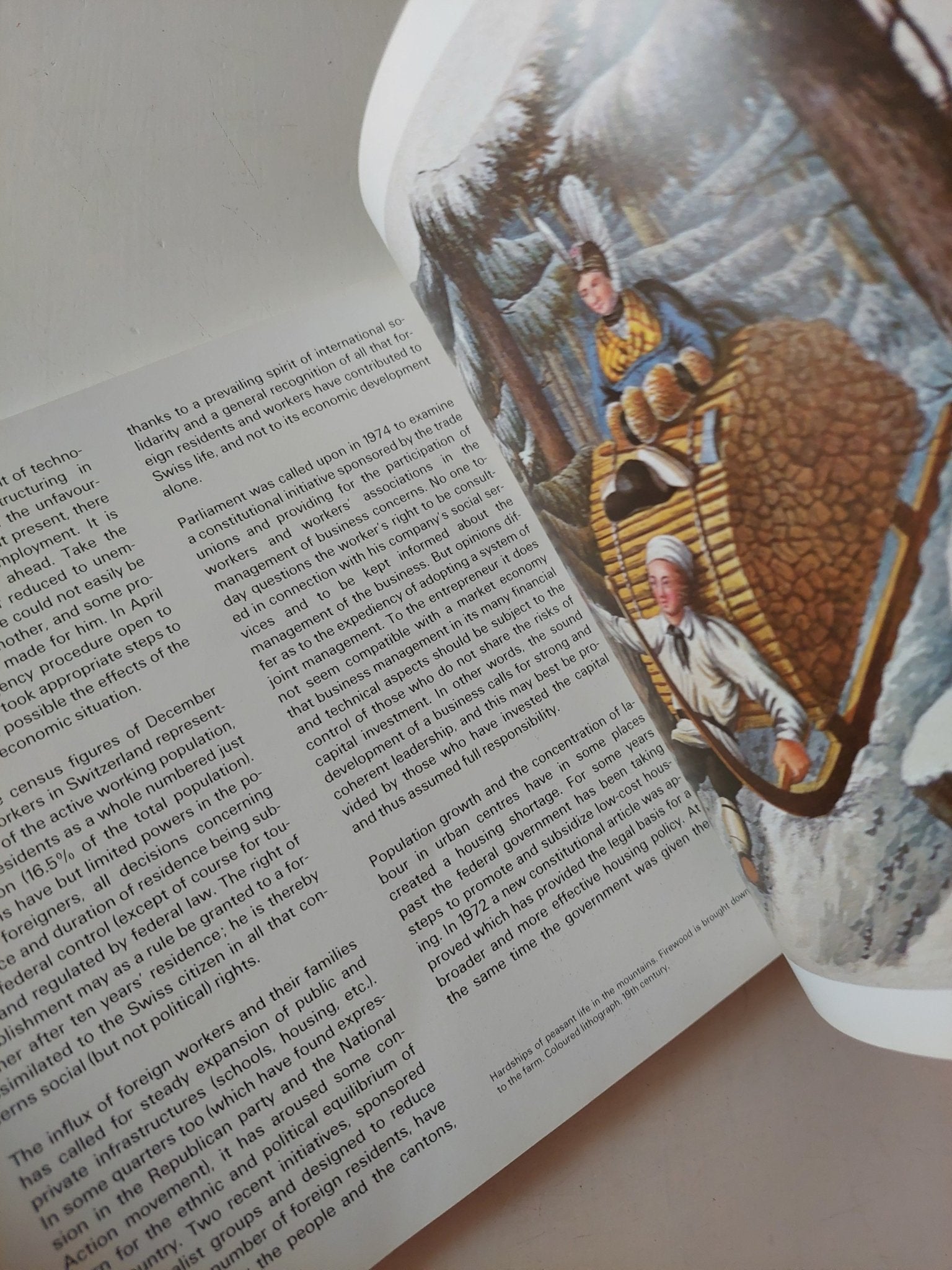 The Historical Evolution Political Institutions Focus on Switzerland - متجر كتب مصر - متجر كتب مصر