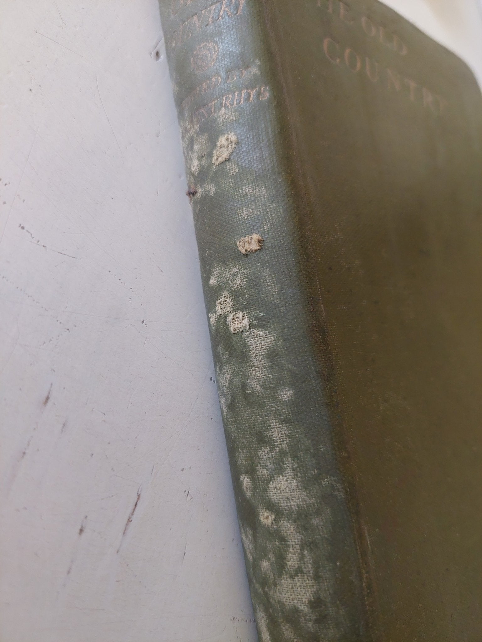 The Old Country: A Book of Praise of England - Ernest Rhys - هارد كفر ملحق بالصور - متجر كتب مصر - متجر كتب مصر