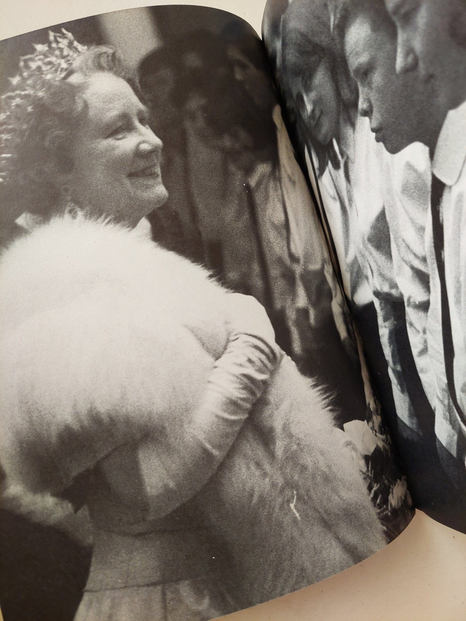 The queen mother and her family .. a personal tribute by Freddie Reed - ملحق بالصور - متجر كتب مصرمتجر كتب مصر