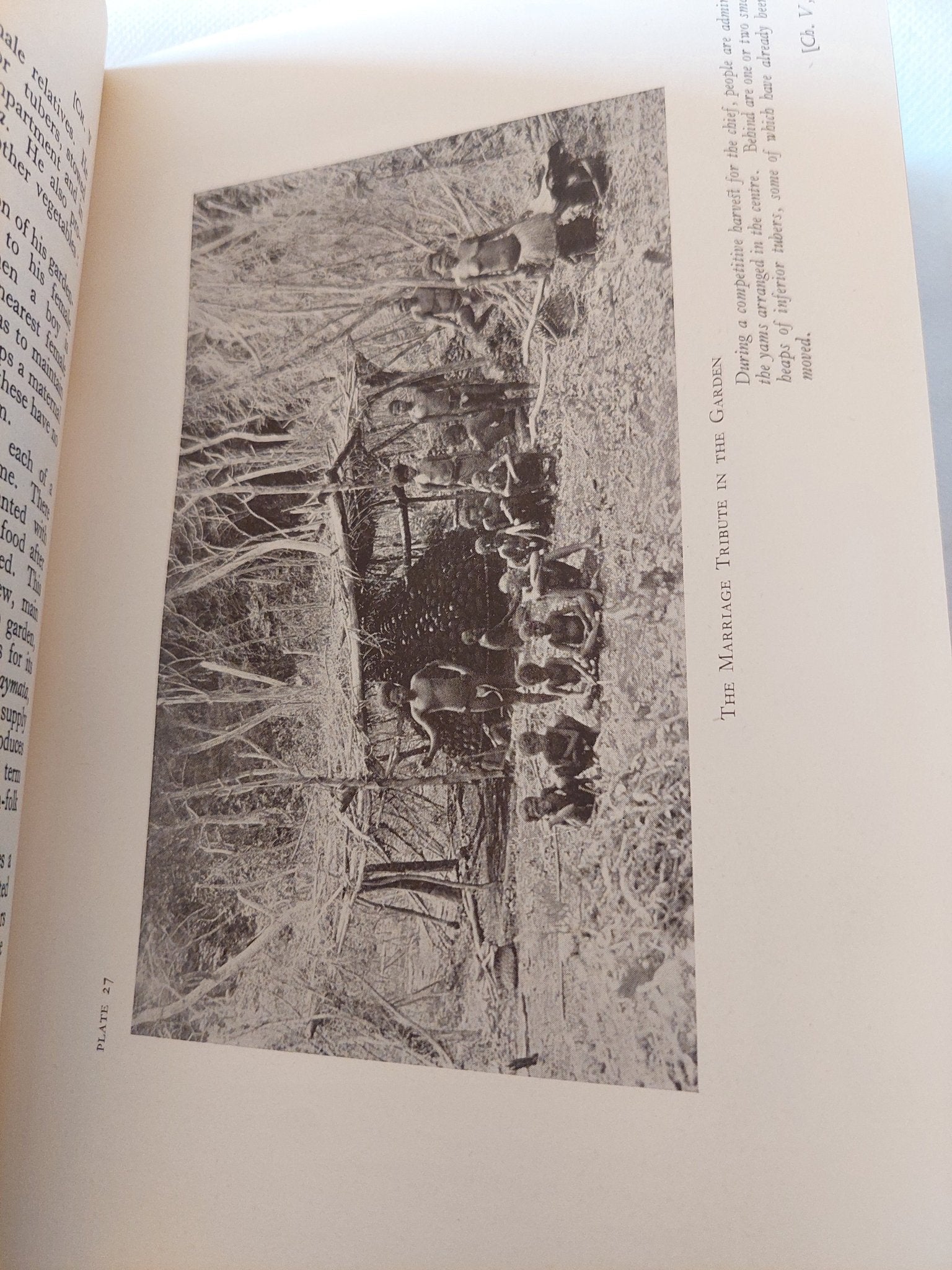 The Sexual Life of Savages in North - Western Melanesia - هارد كفر ملحق بالصور - متجر كتب مصر - متجر كتب مصر