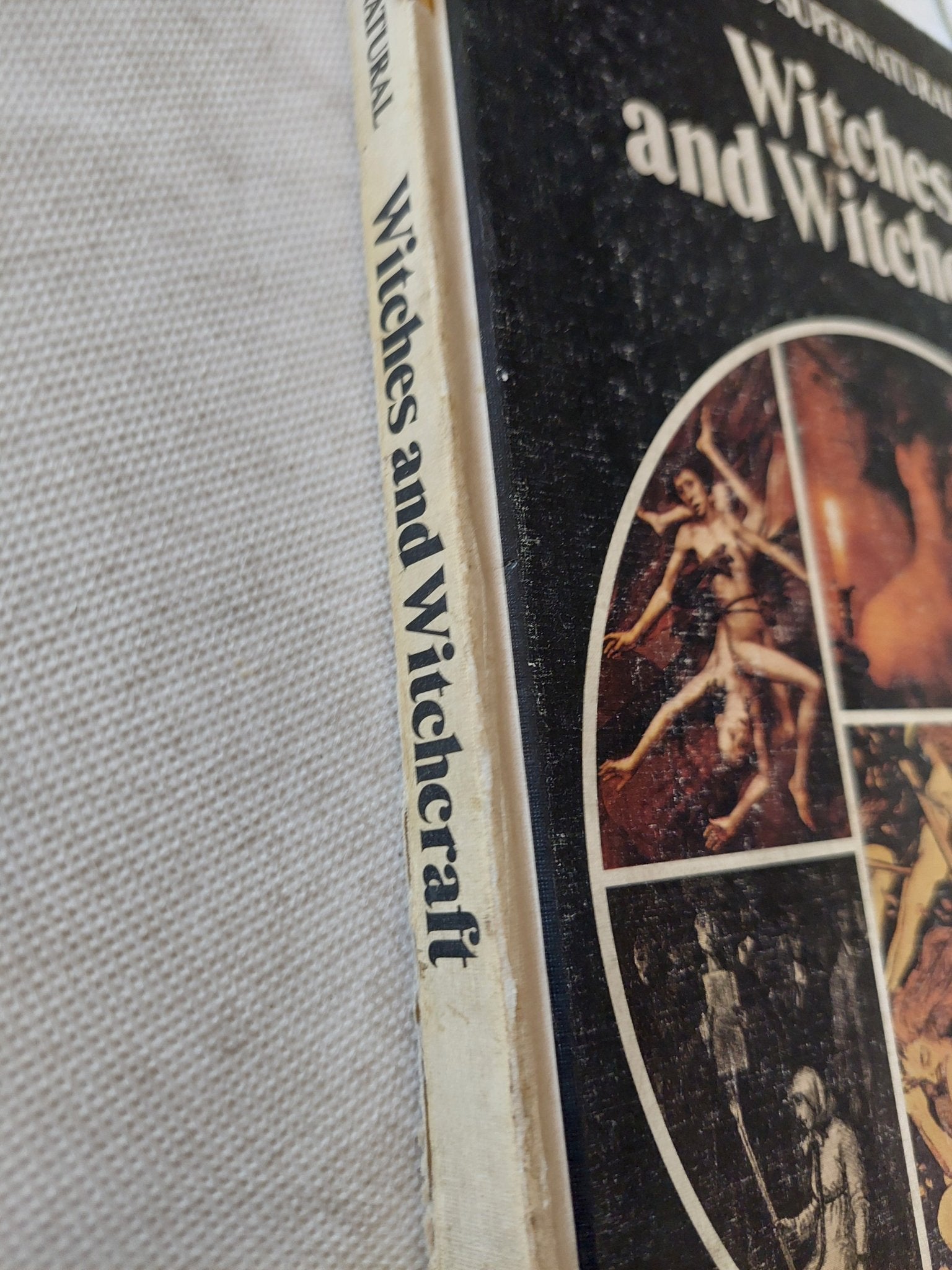 The supernatural Witches and Witchcraft - قطع كبير ملحق بالصور هارد كفر - متجر كتب مصر - متجر كتب مصر