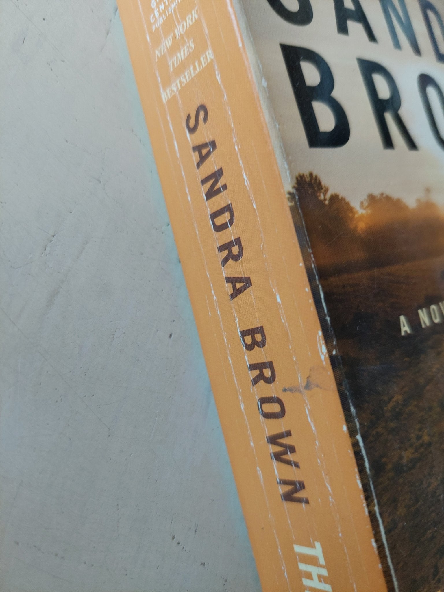 the witness / Sandra Brown - متجر كتب مصر - متجر كتب مصر
