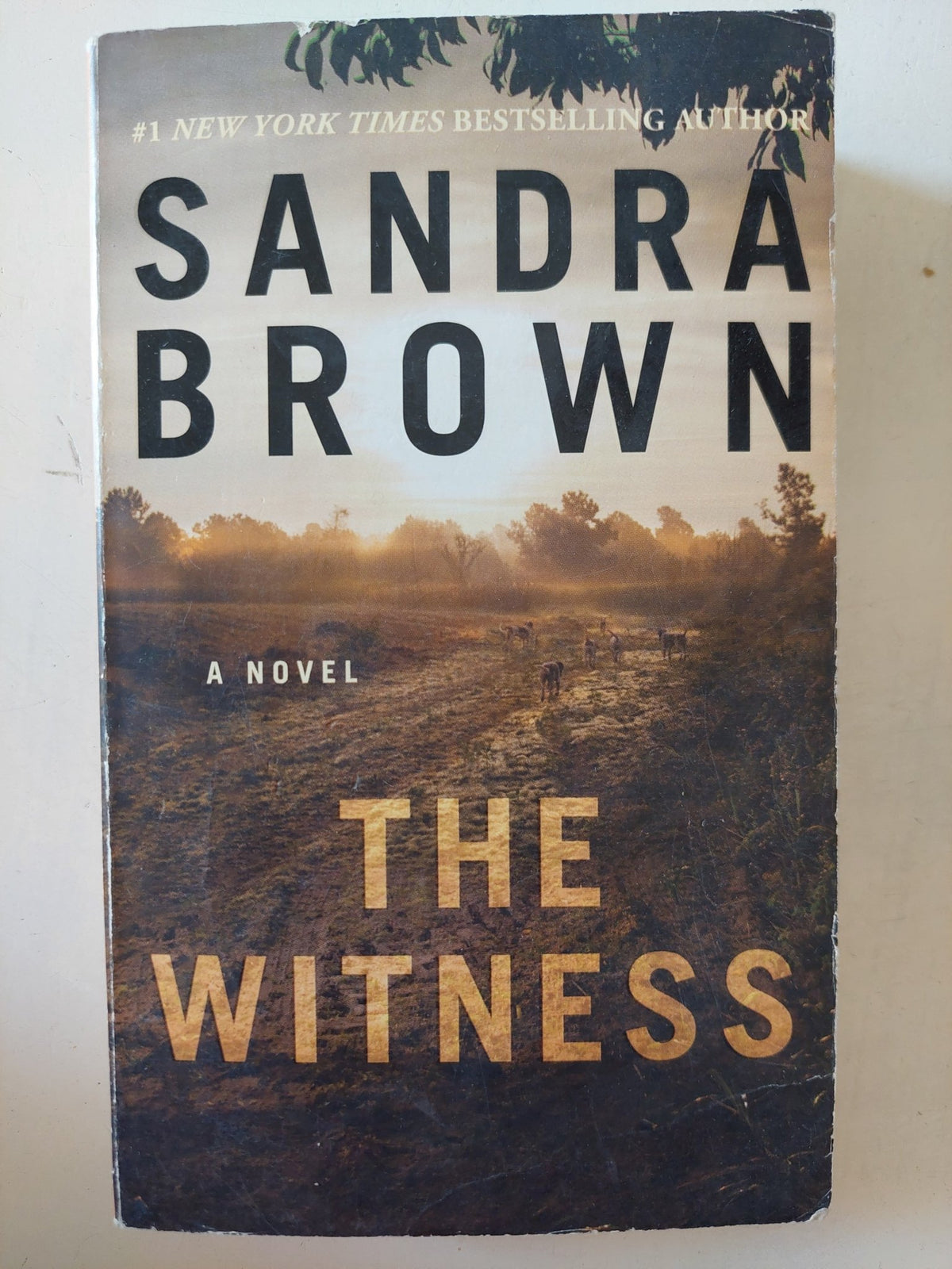 the witness / Sandra Brown - متجر كتب مصر - متجر كتب مصر
