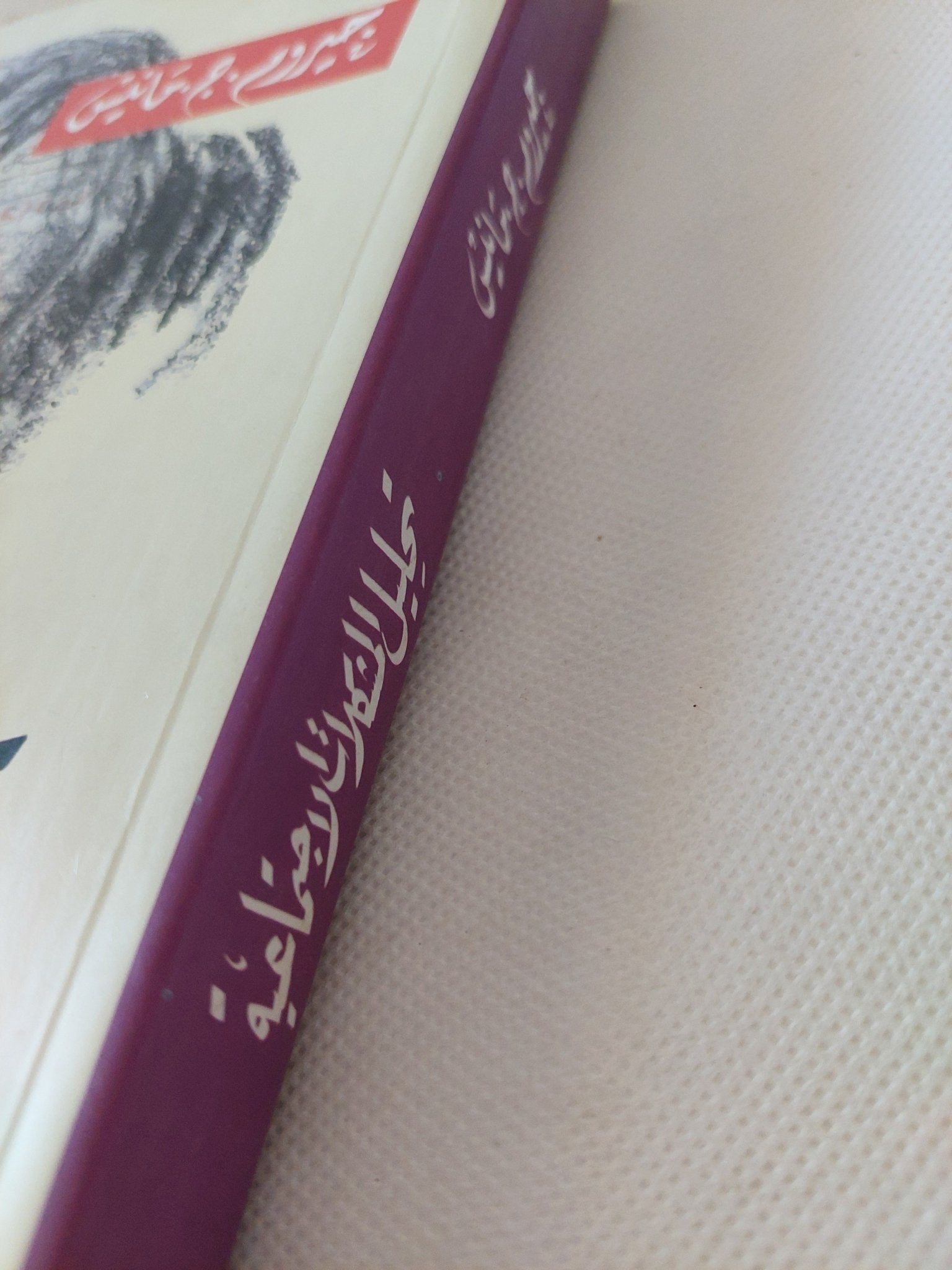 تحليل المشكلات الإجتماعية / جيروم مانيس - متجر كتب مصر - المكتبة الفلسفية