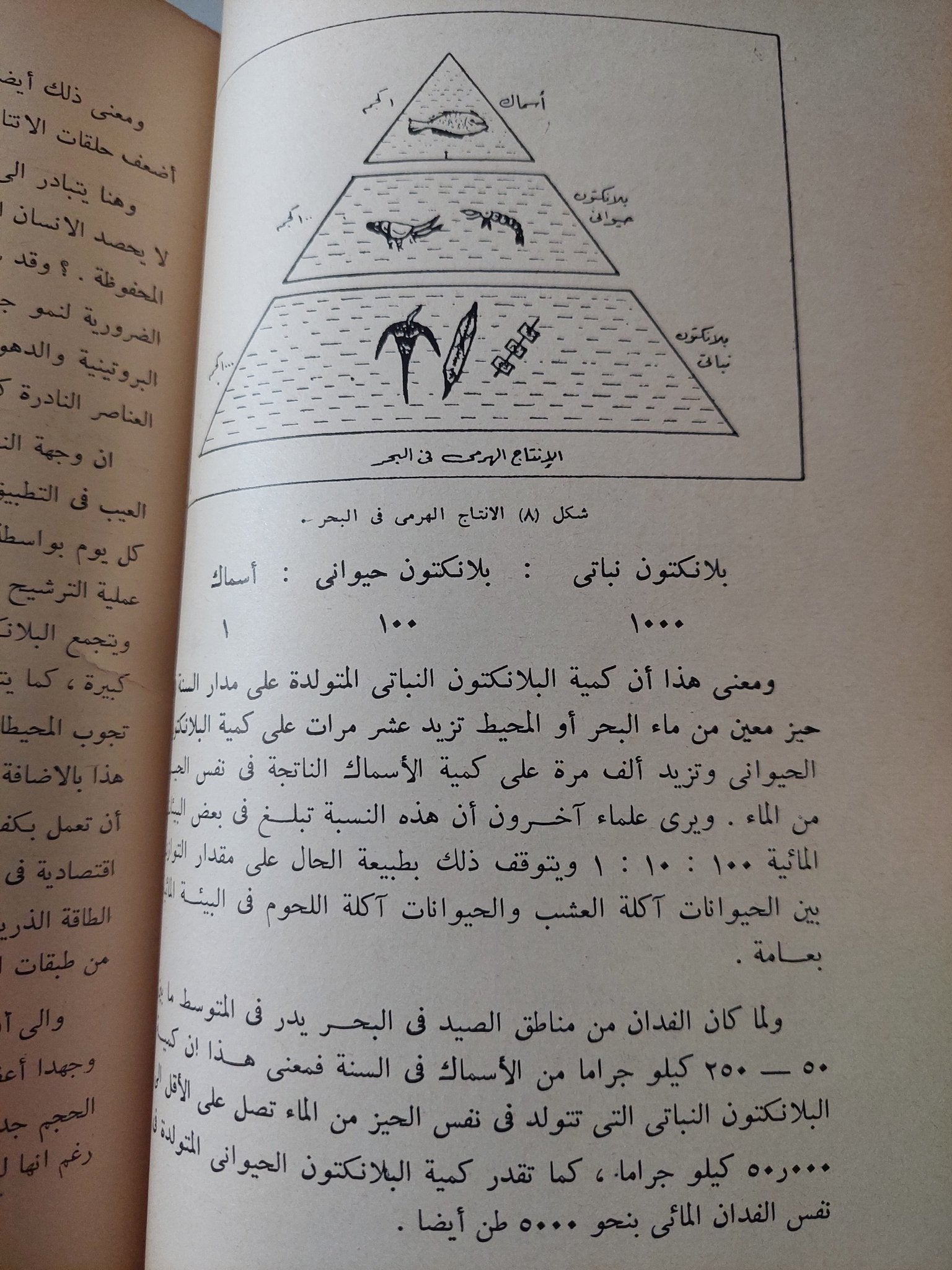 ثروات جديدة من البحار / أنور عبد العليم - ملحق بالصور هارد كفر - متجر كتب مصر - متجر كتب مصر