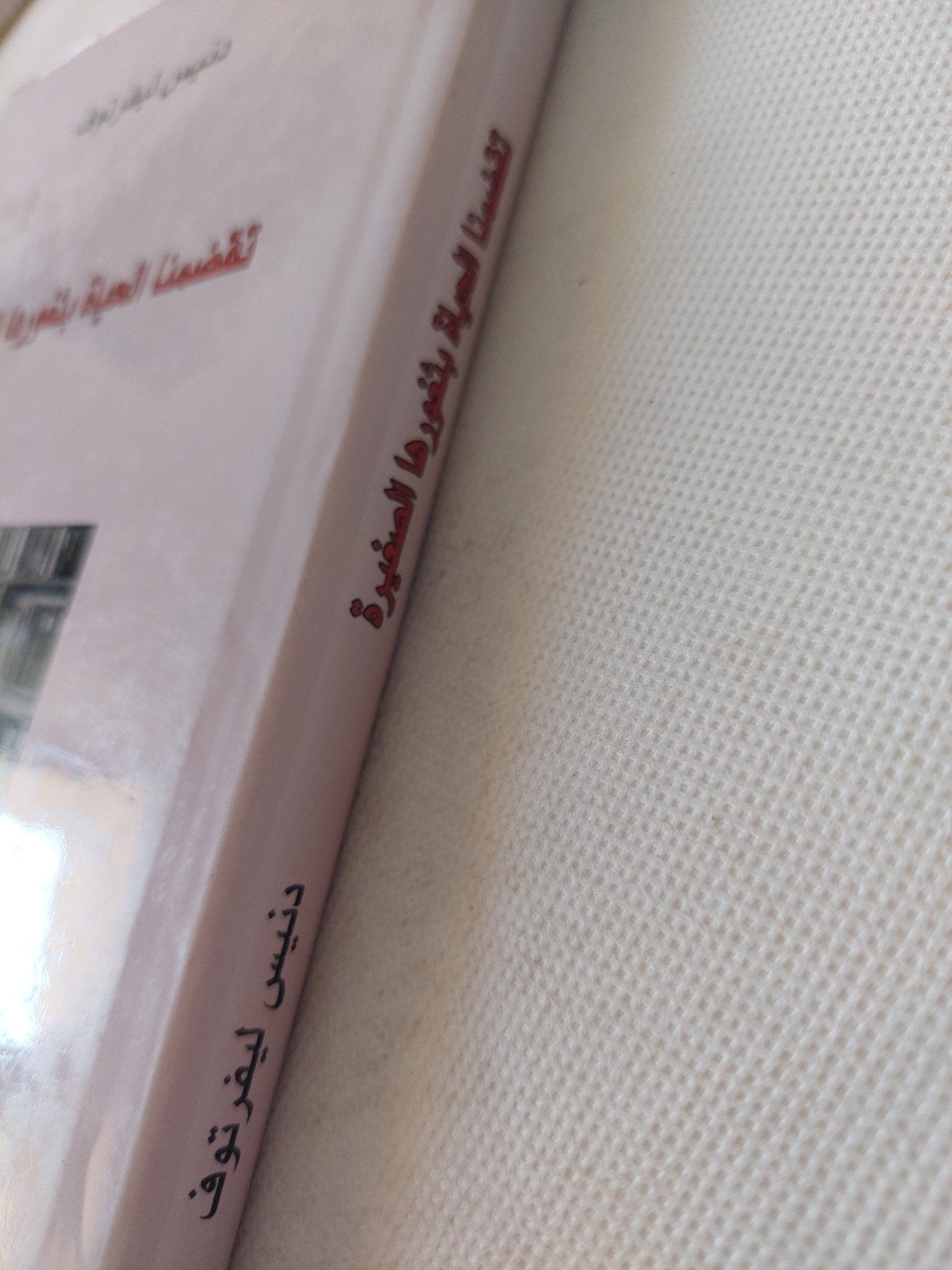تقضمنا الحياة بثغورها الصغيرة / دنيس ليفرتوف - متجر كتب مصر - المكتبة الفلسفية