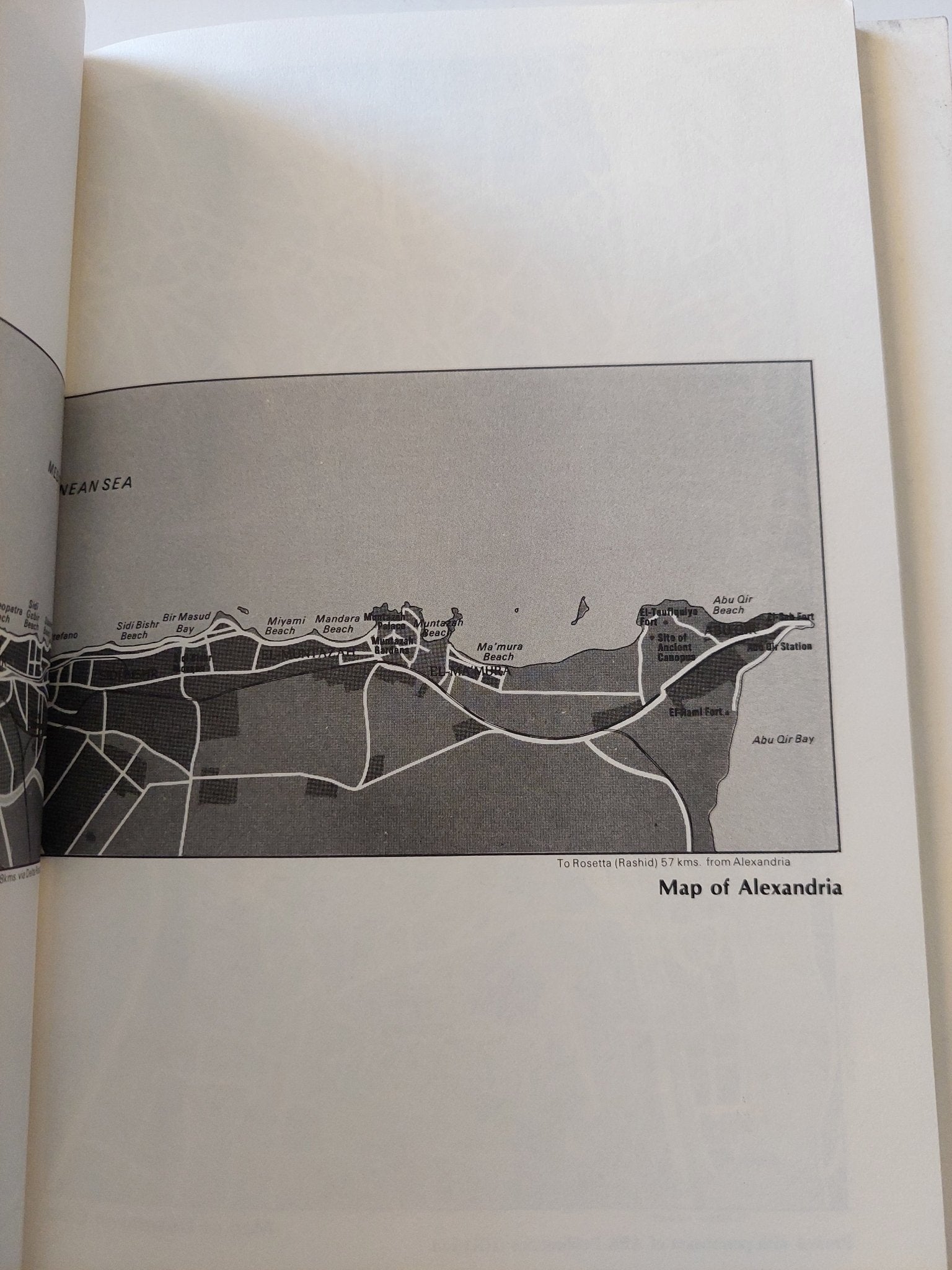 Too rich.. the high life and tragic death of king Farouk / William Stadiem - هارد كفر - متجر كتب مصر - متجر كتب مصر